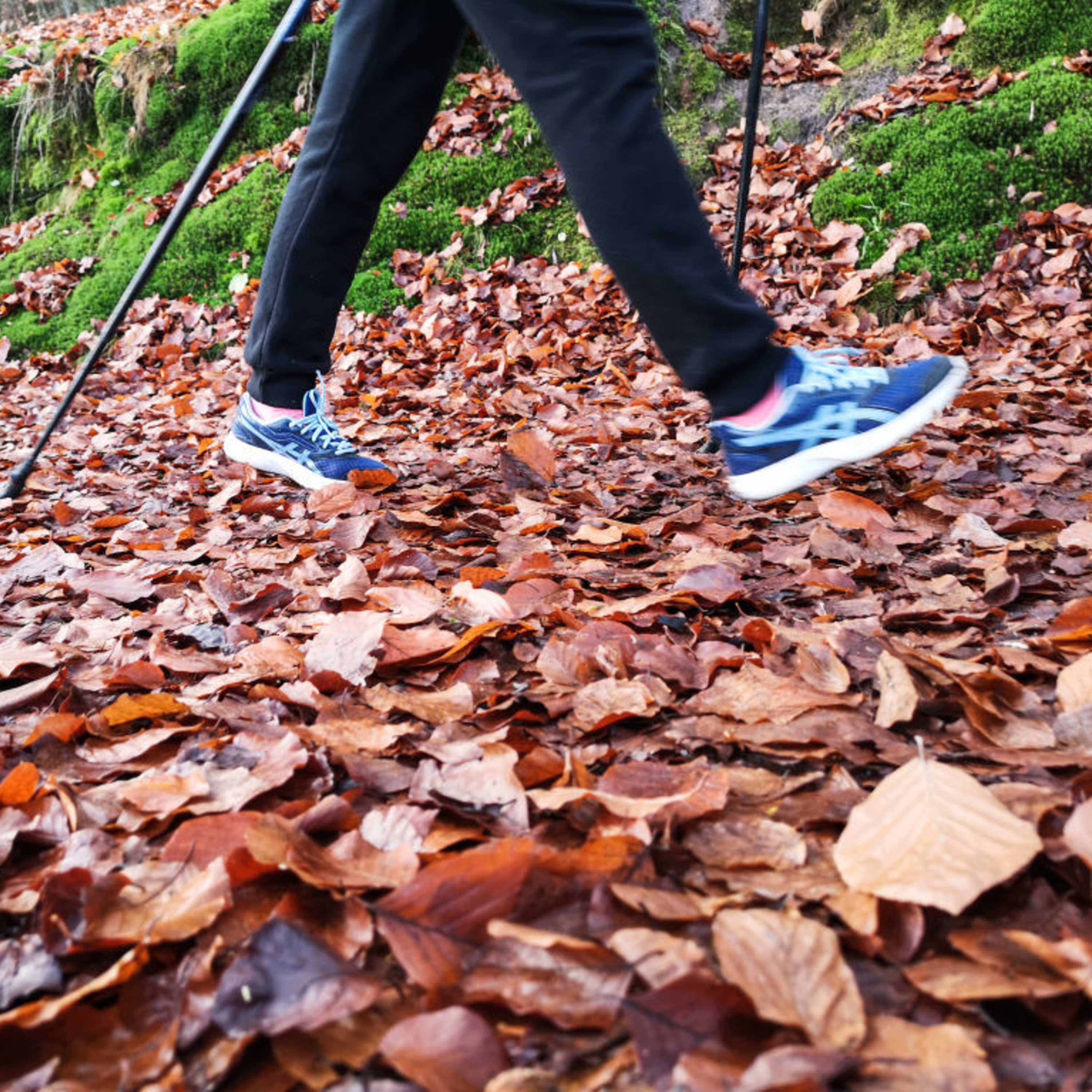 Listen! With Frank Mitchell