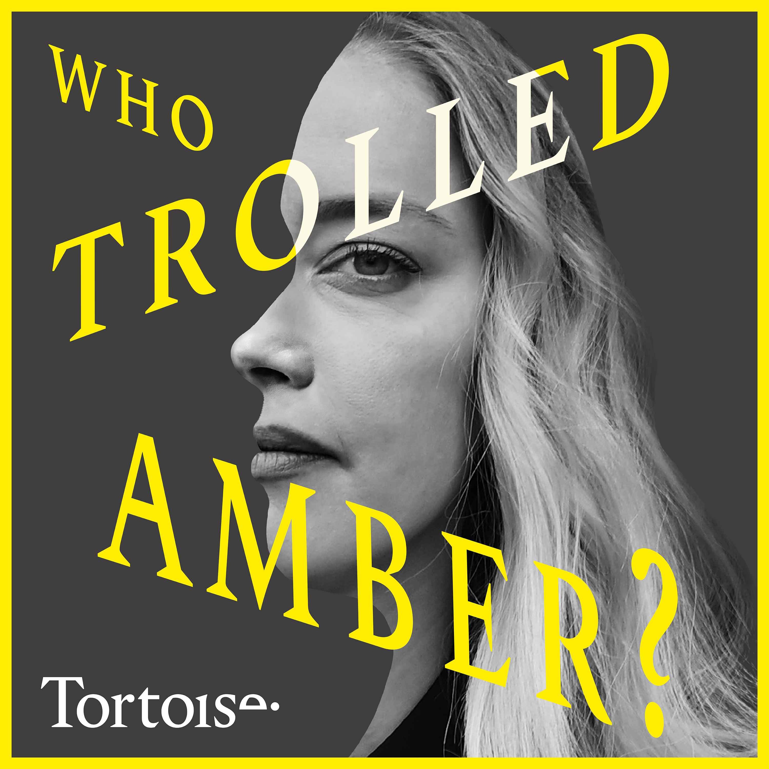 Who Trolled Amber? | Tortoise Investigates podcast show image