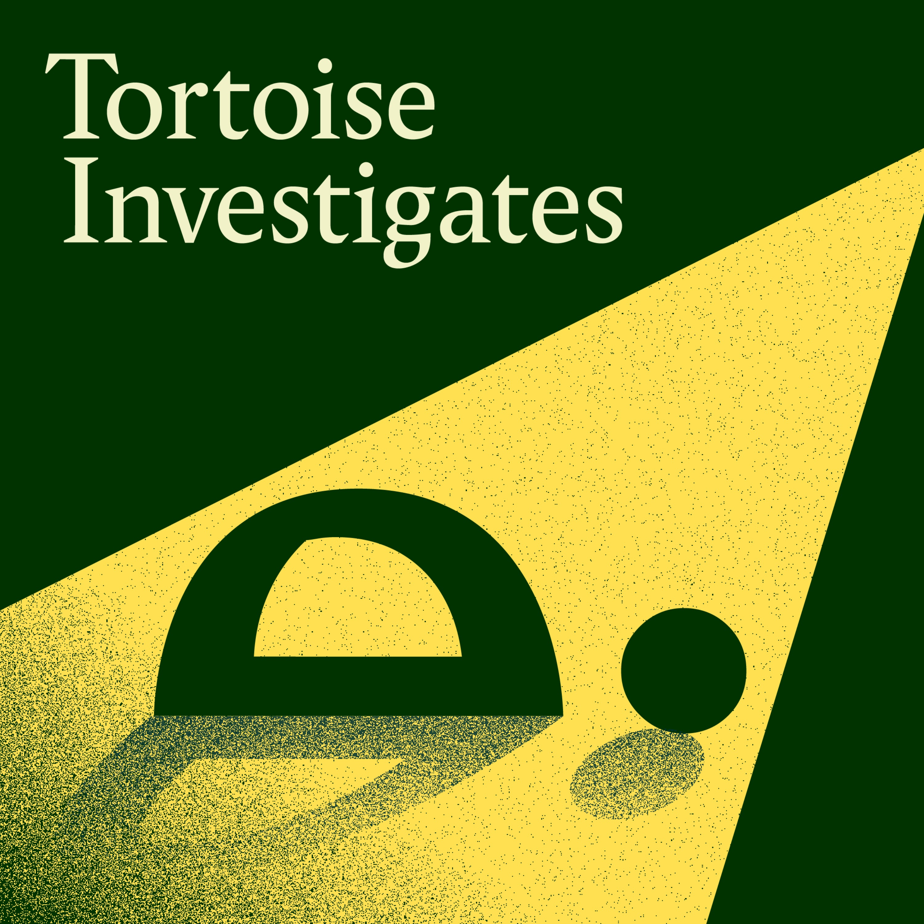 Tortoise Investigates Image