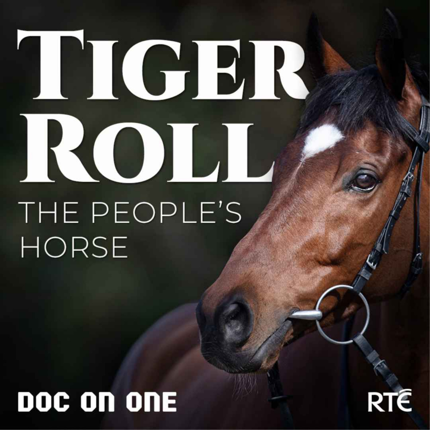cover art for Tiger Roll, The People's Horse: Ep1 - A Star Is Born