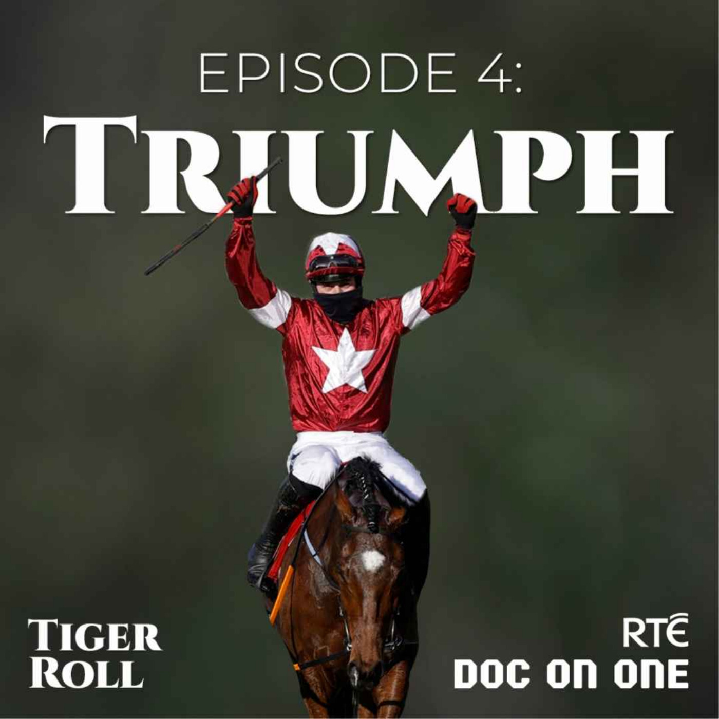 Tiger Roll, The People's Horse: Ep4 - Triumph