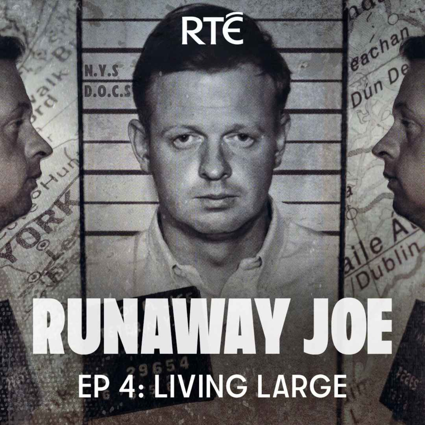 cover art for Runaway Joe: 04 - Living Large