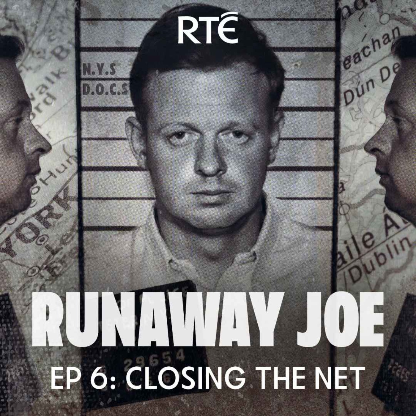 cover art for Runaway Joe: 06 - Closing The Net