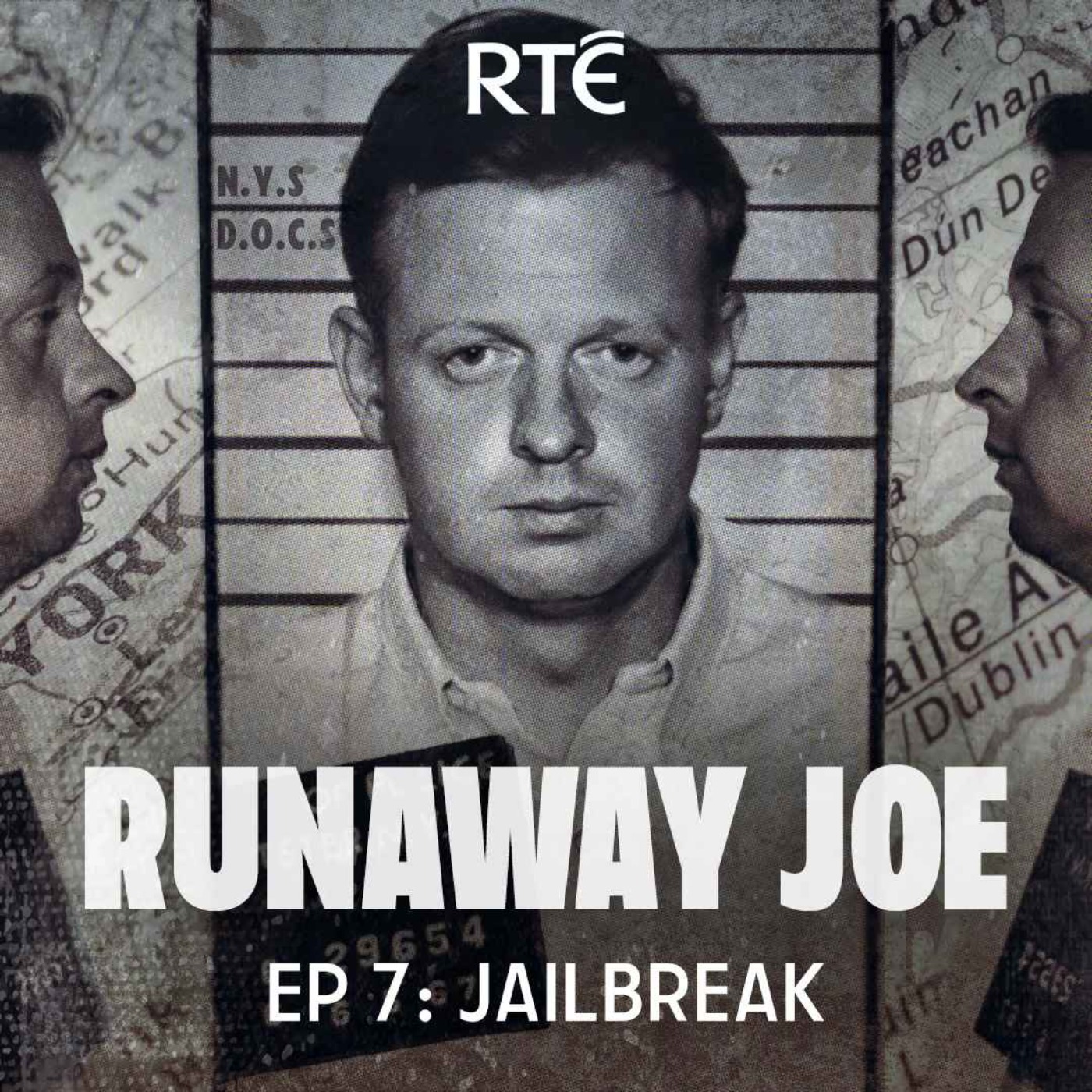 cover art for Runaway Joe: 07 - Jailbreak