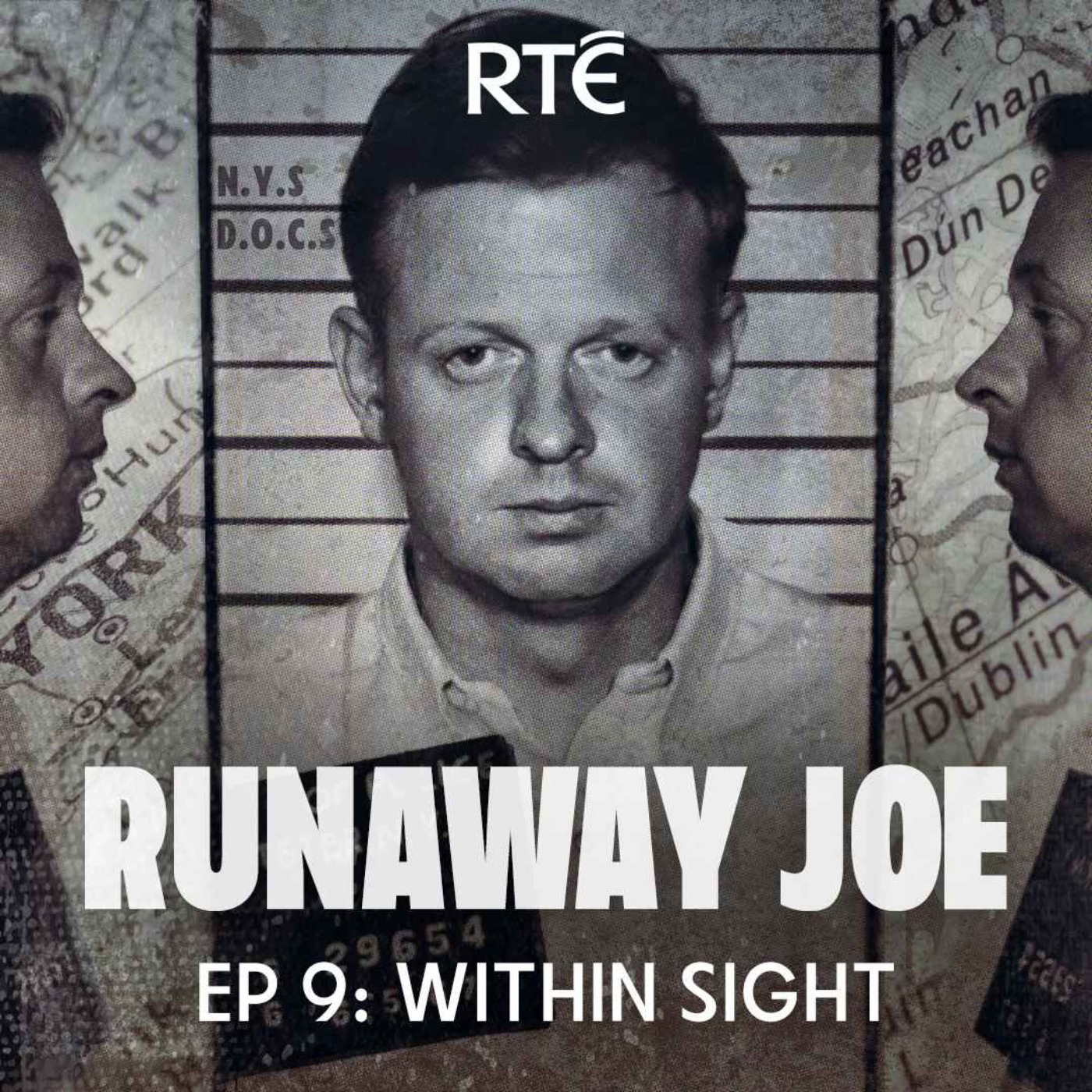cover art for Runaway Joe: 09 - Within Sight