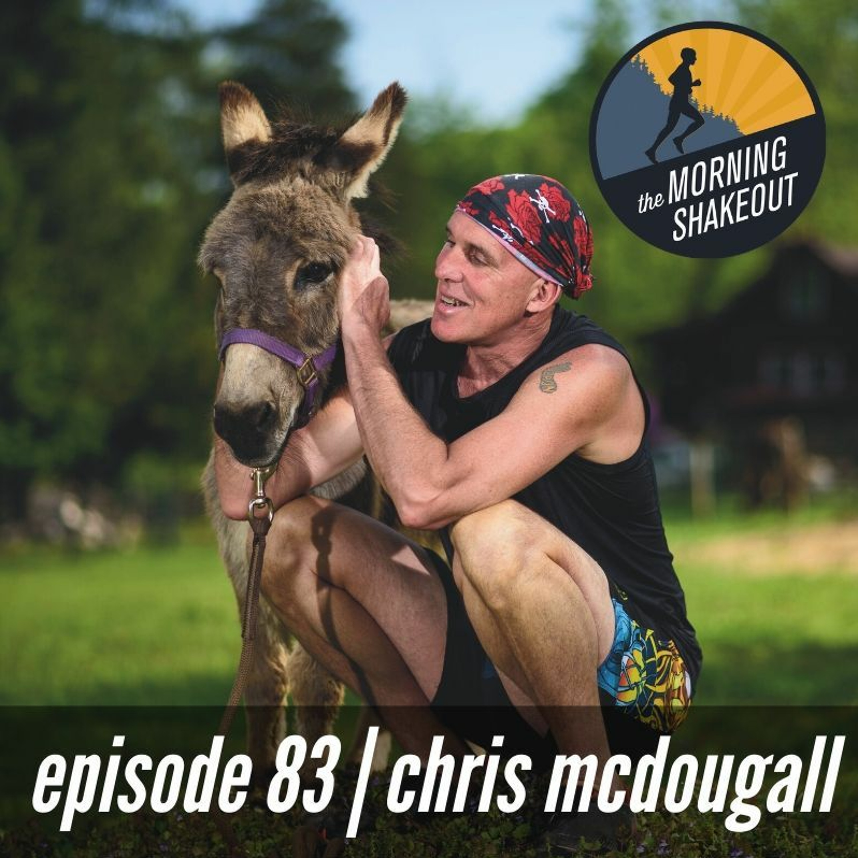 the morning shakeout podcast