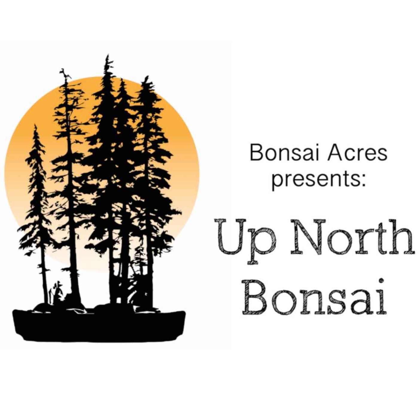cover art for Up North Bonsai:  Nigel Saunders