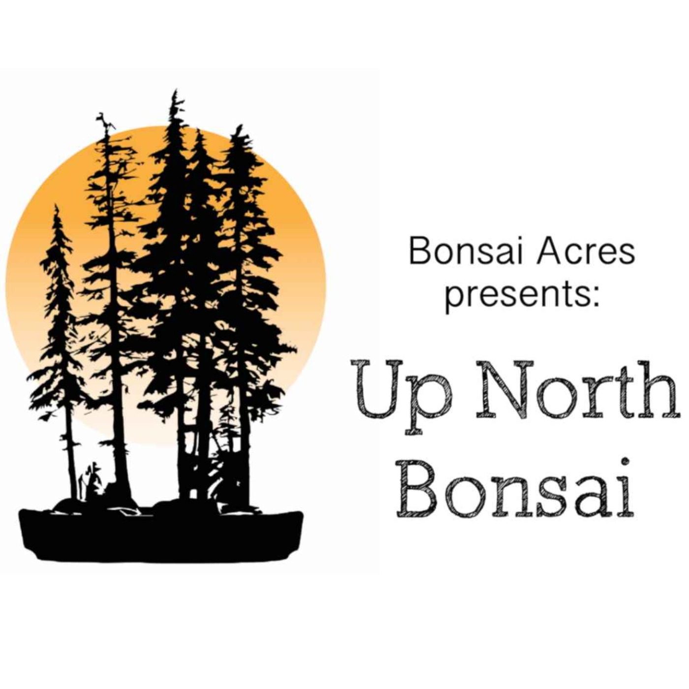 cover art for Up North Bonsai:  Scott Allen