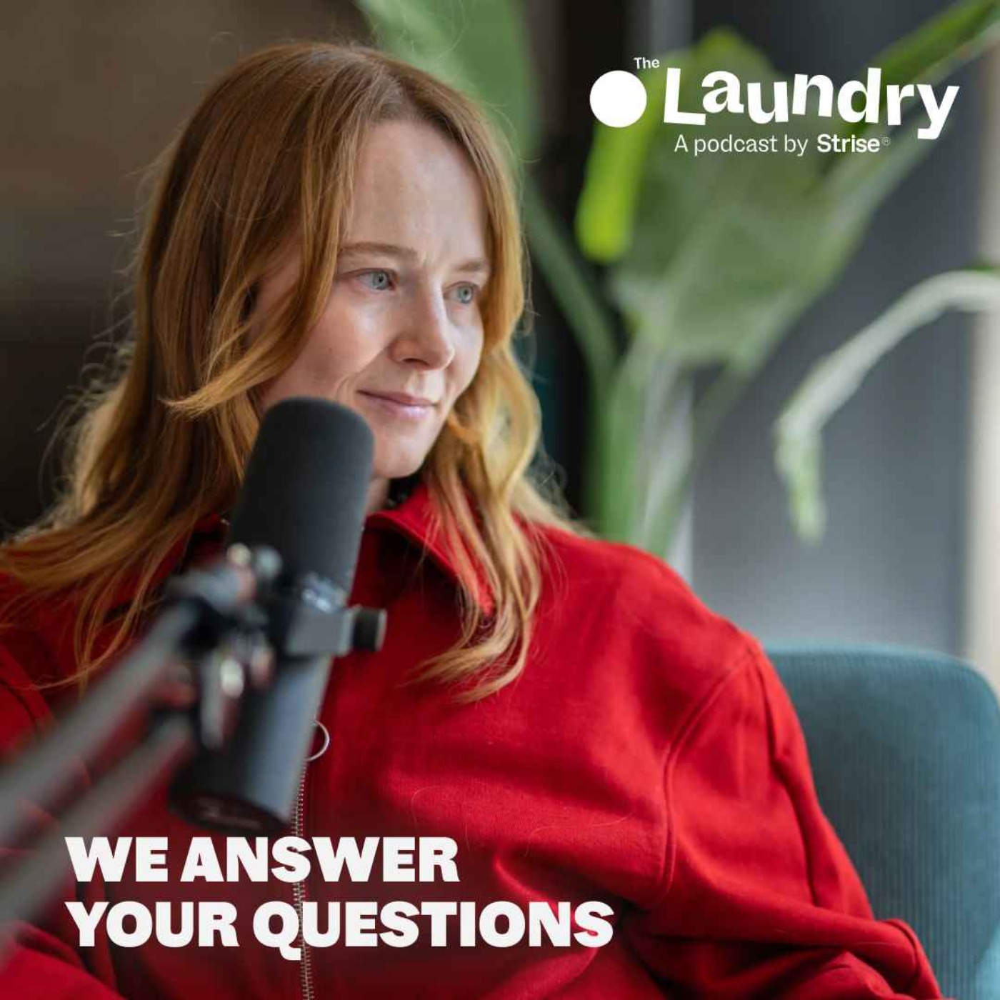 The Laundry