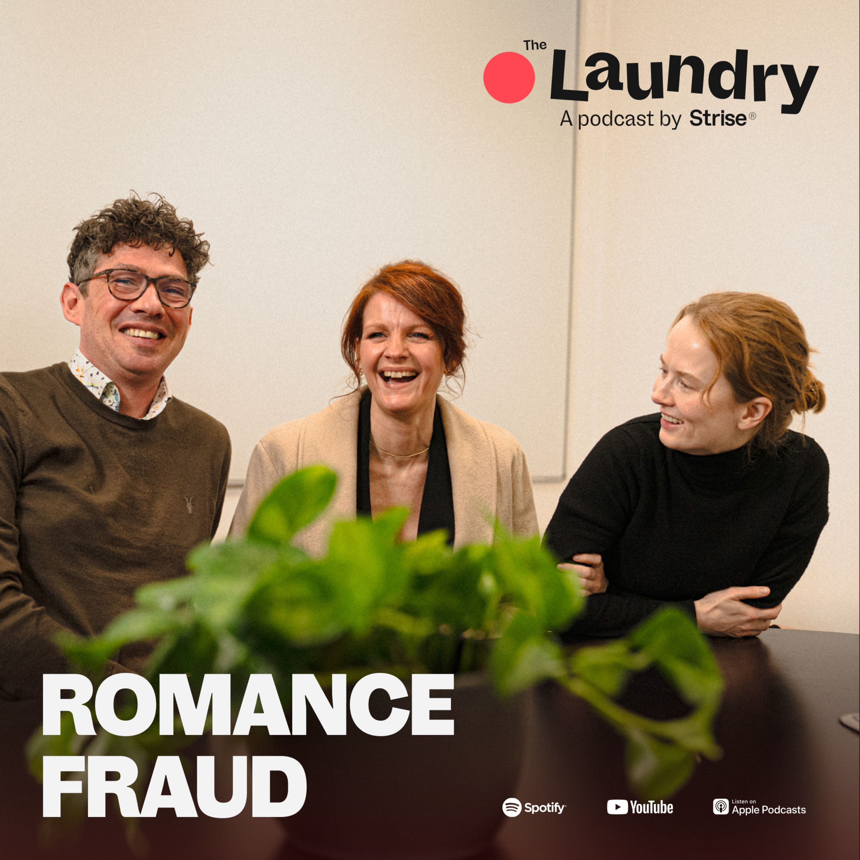 Re-Spin: Can fincrime professionals fight romance fraud?