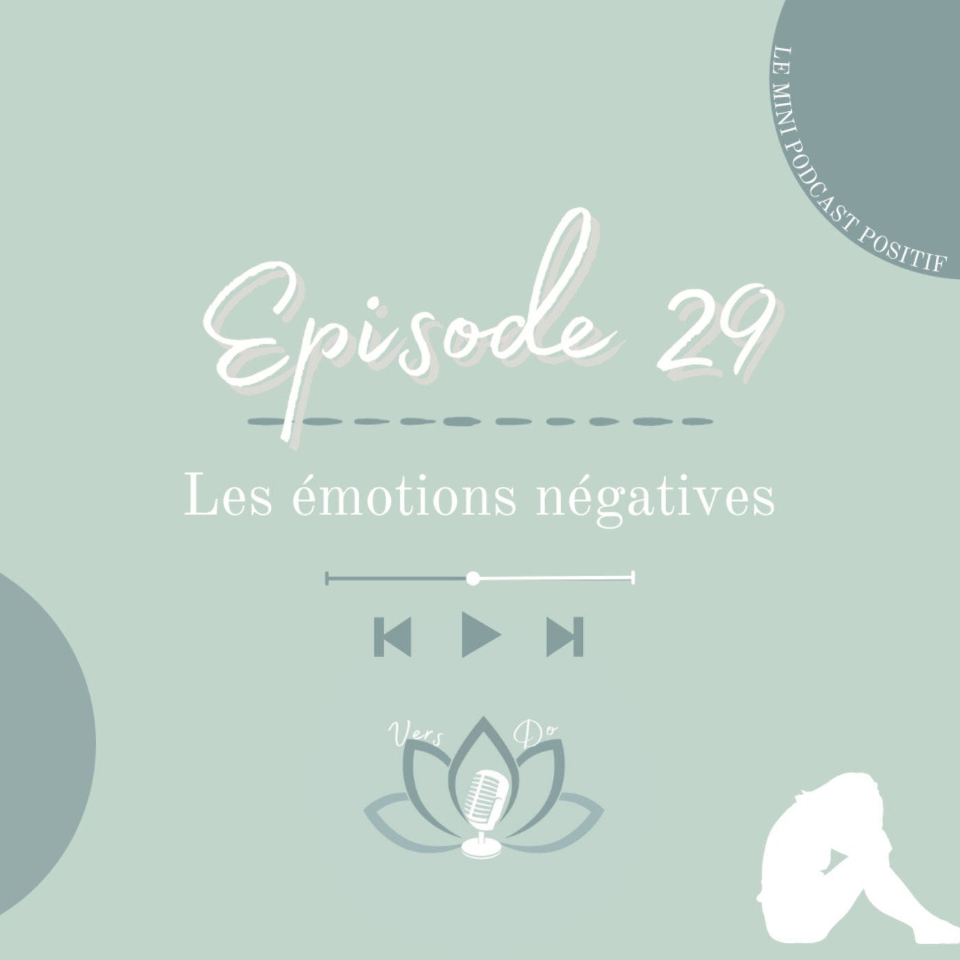Episode 29 : Les émotions négatives