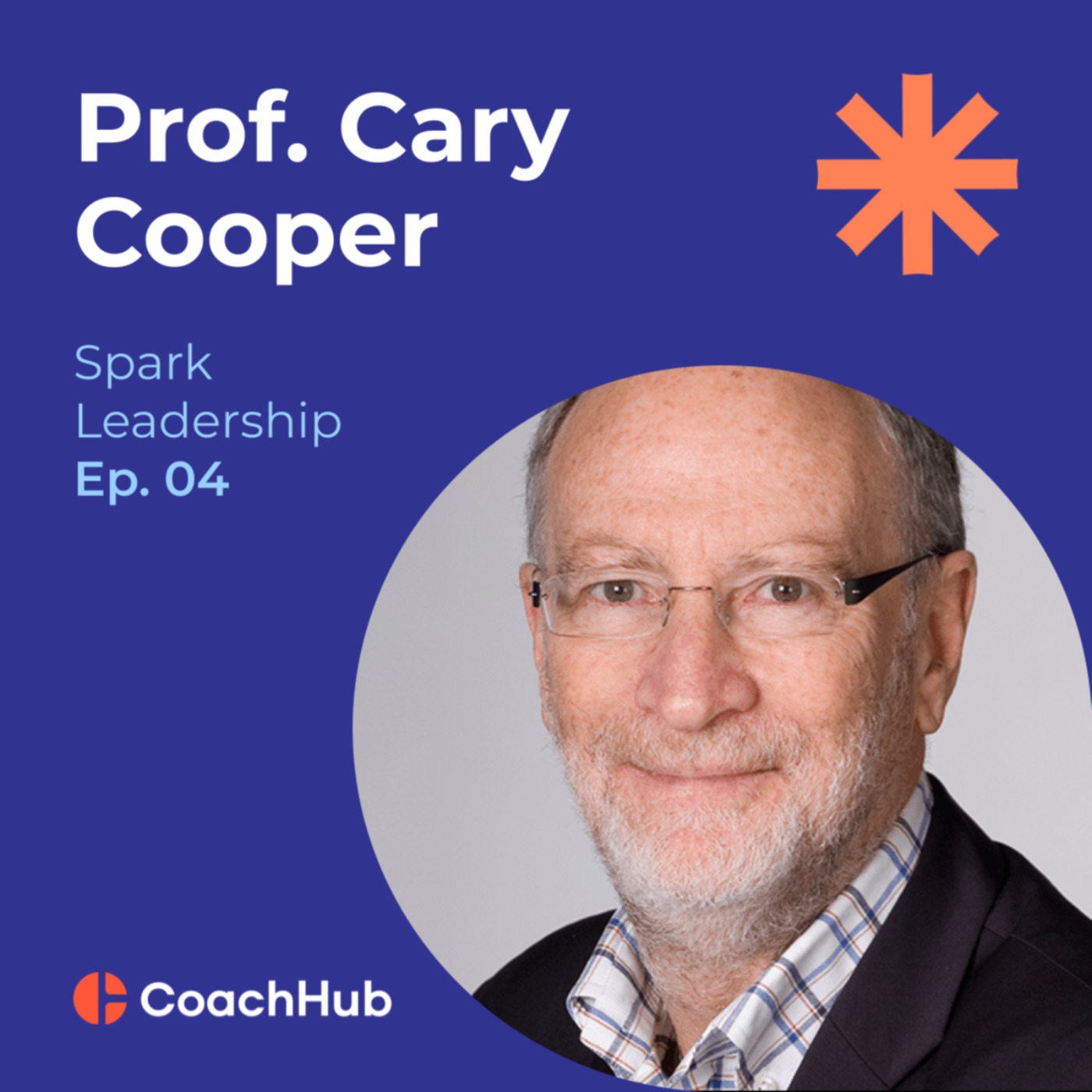 Spark Leadership