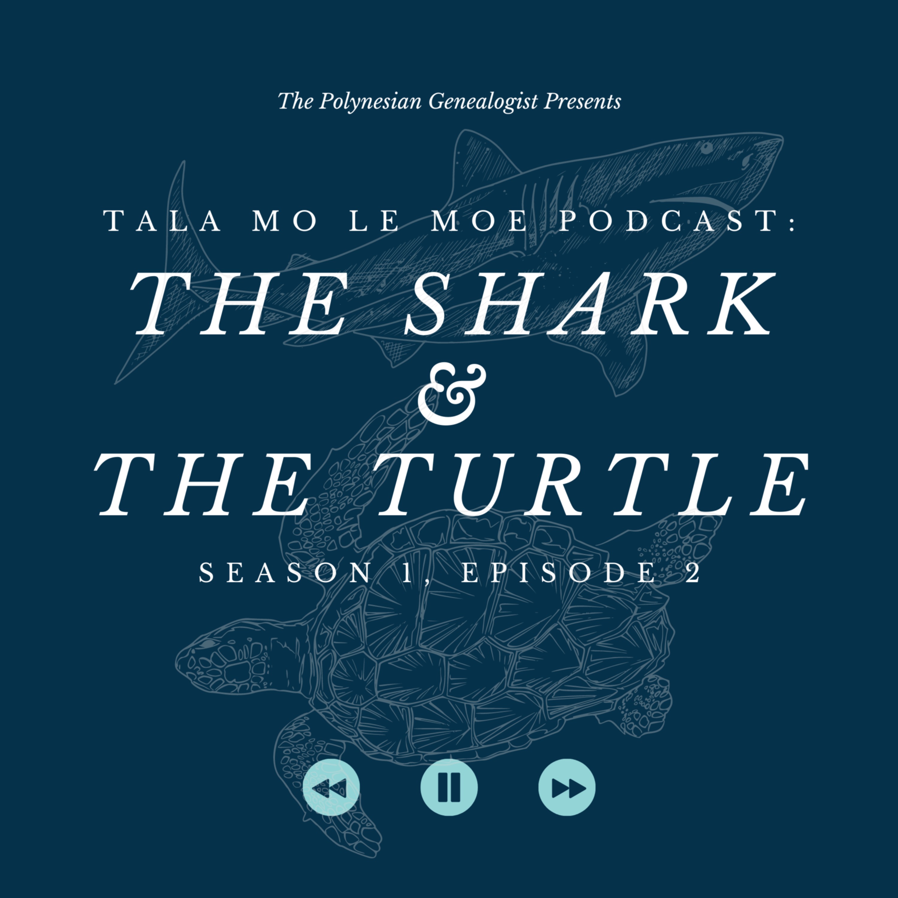 The Shark & The Turtle