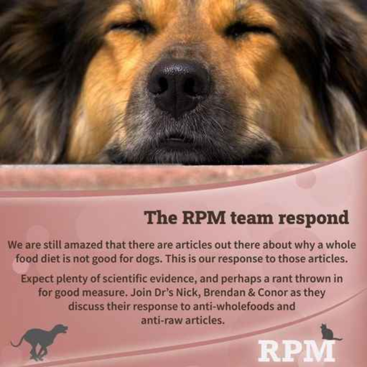 RMP Team Respond