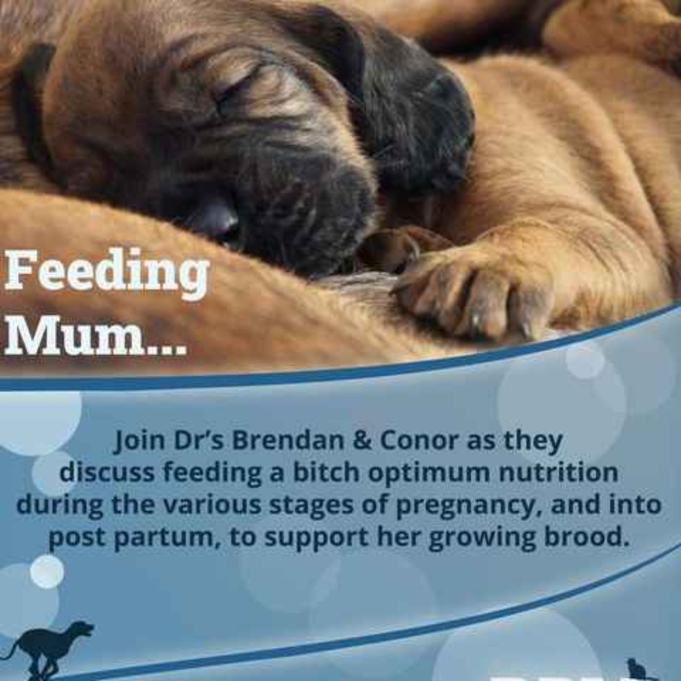Feeding Mum