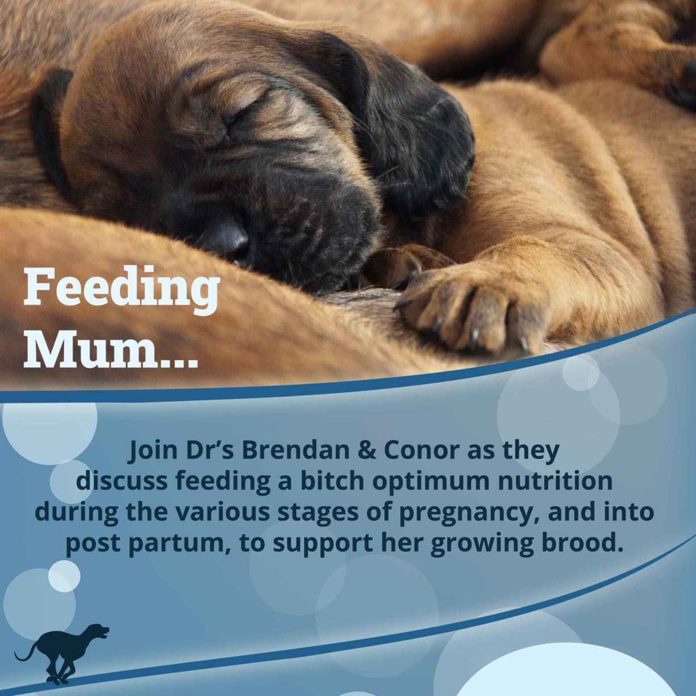 Feeding Mum