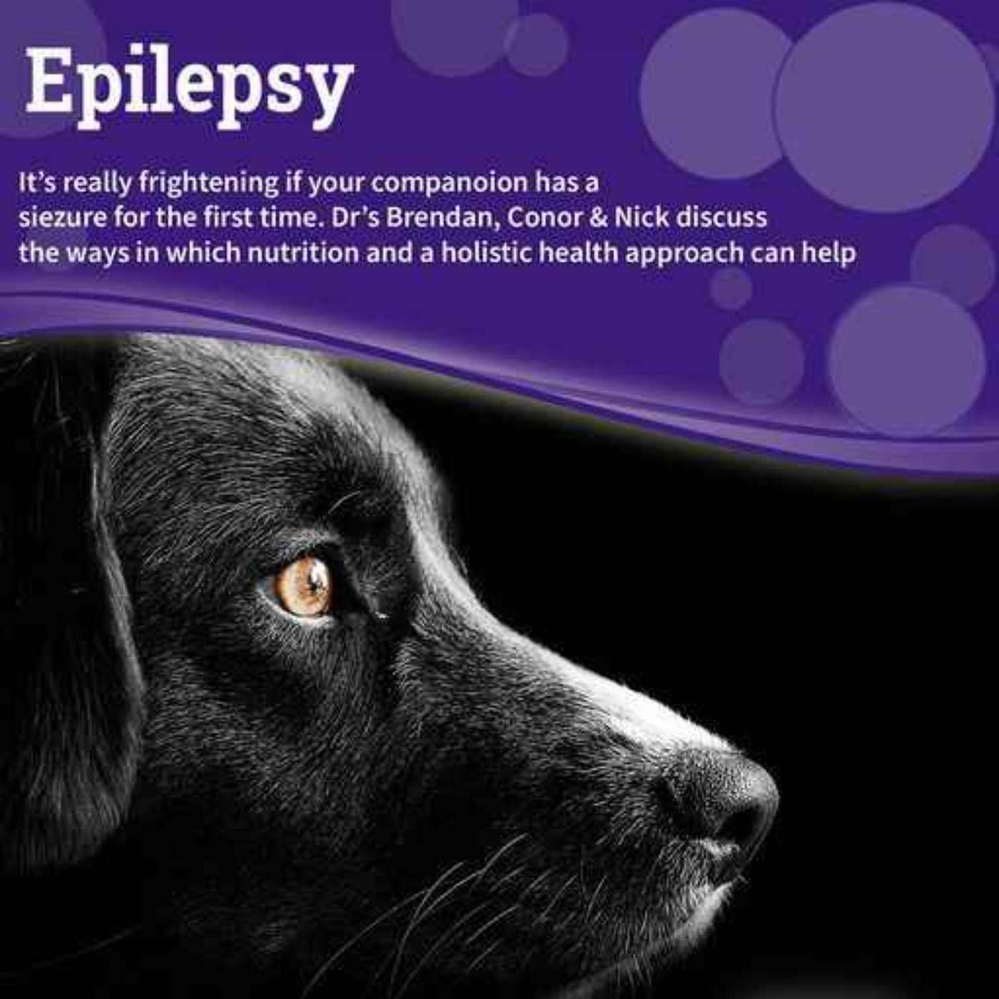 Epilepsy