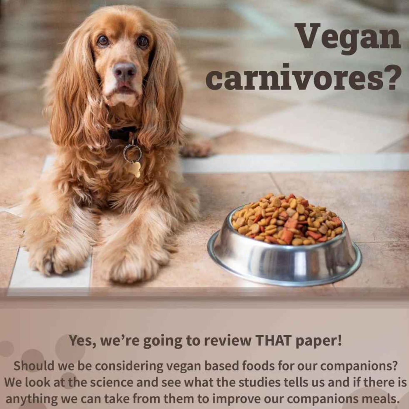 Vegan carnivores?