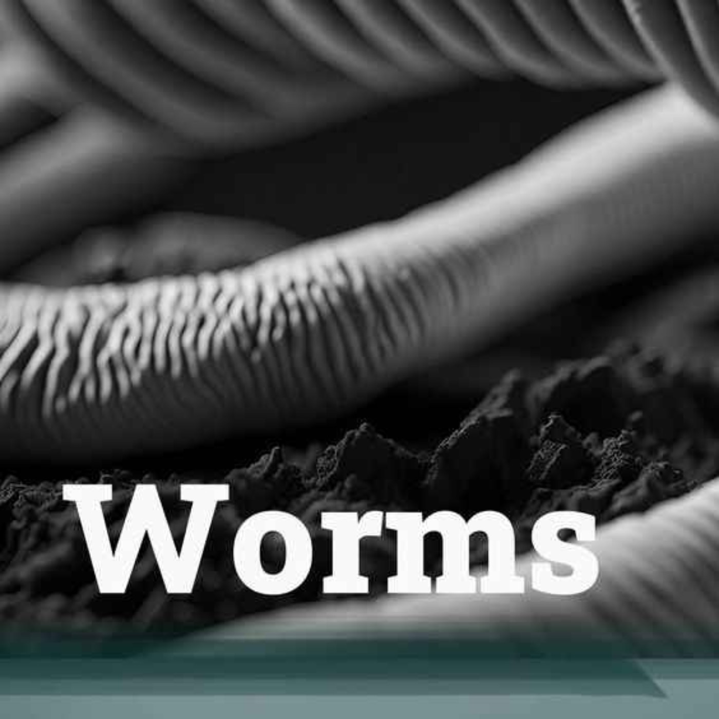 cover art for Worms