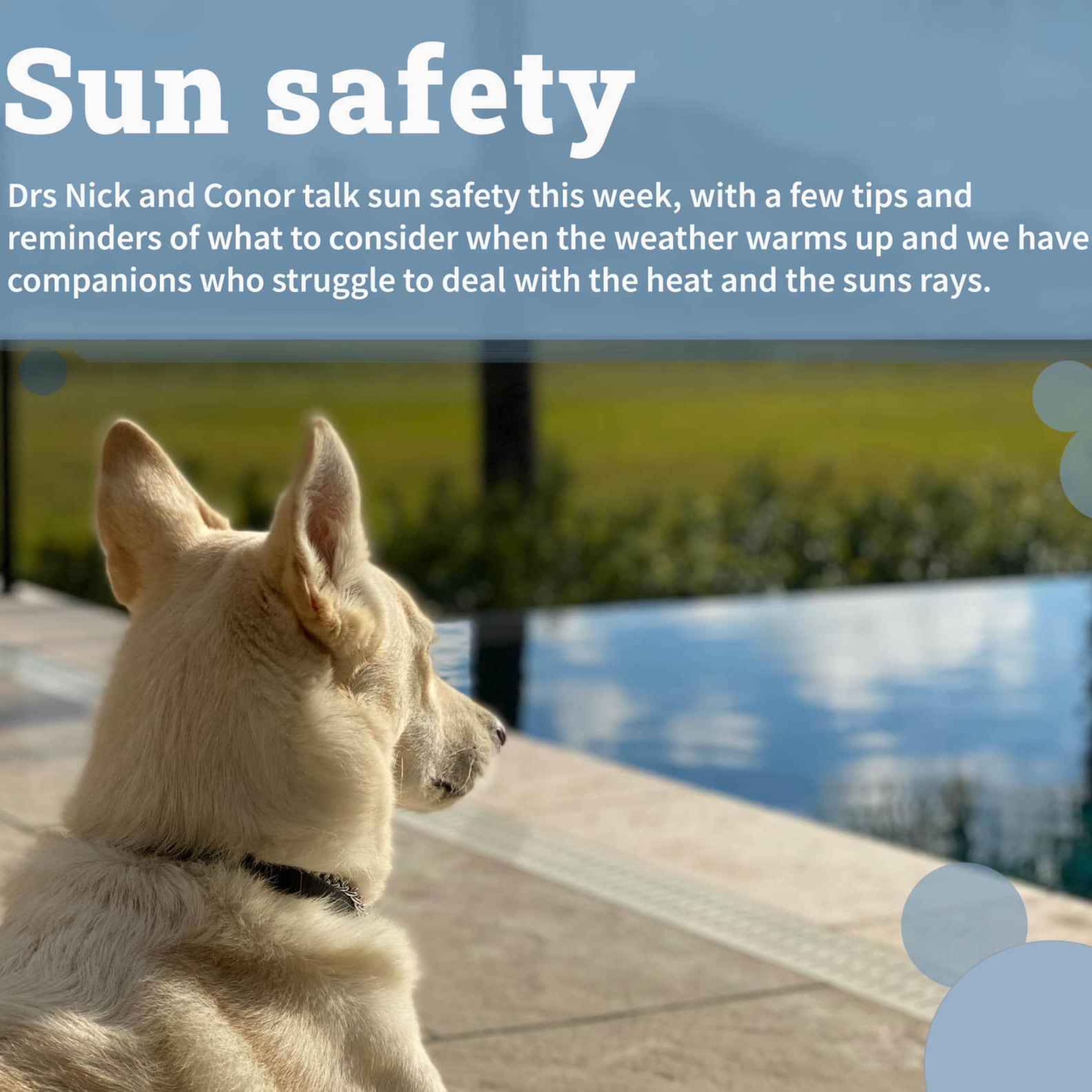 Sun safety
