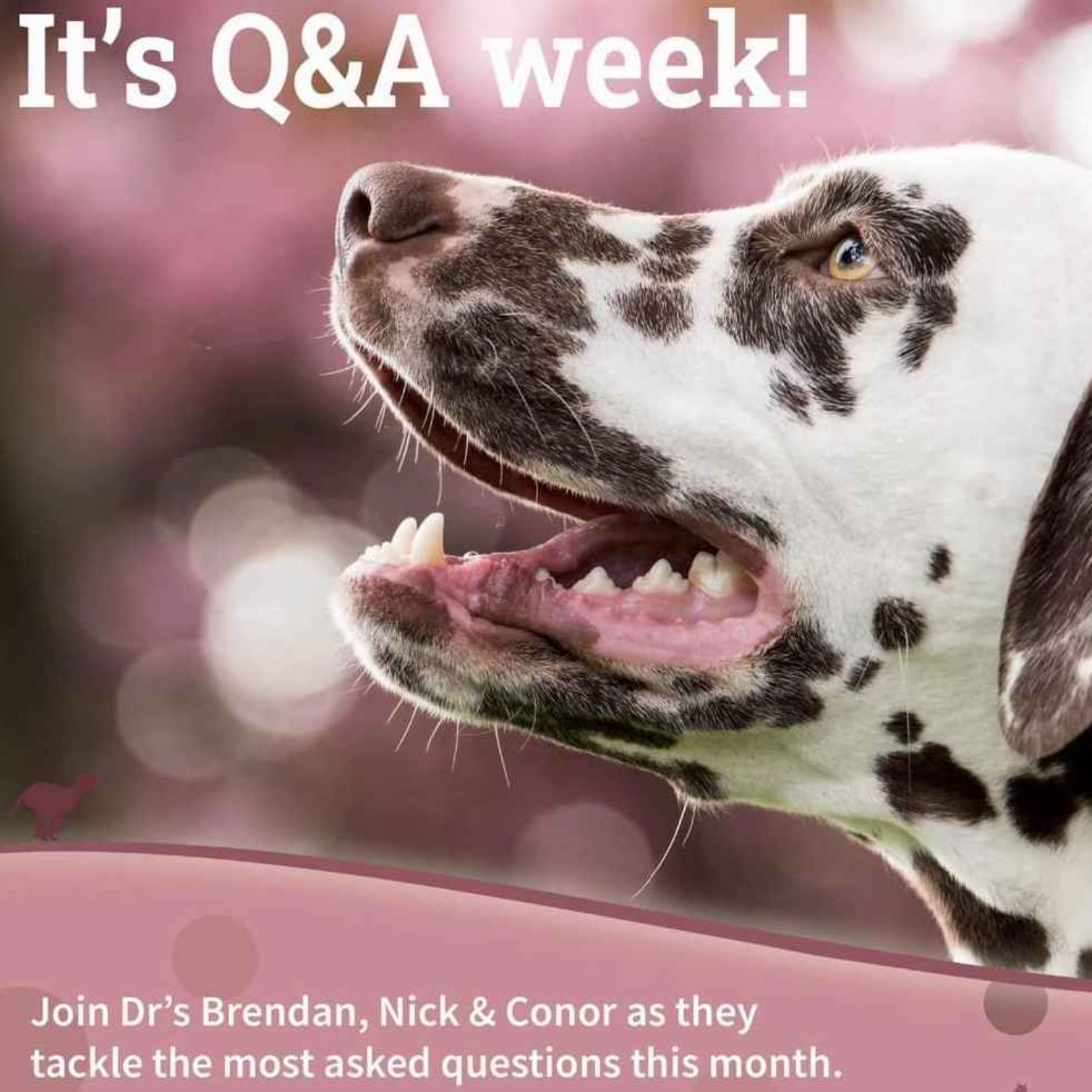 Q&A