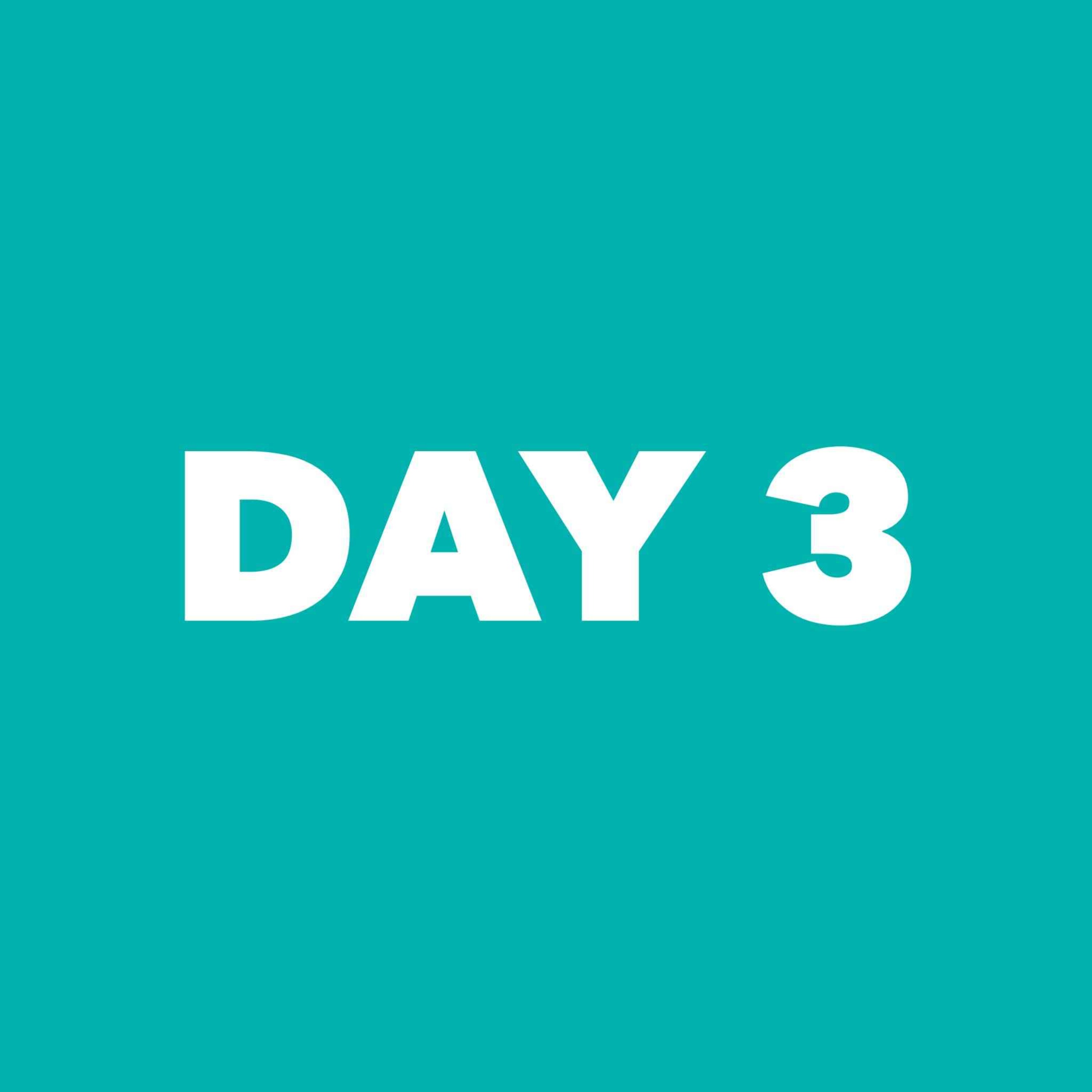 Gina's Facebook Live - Day 3 - Evening episode artwork