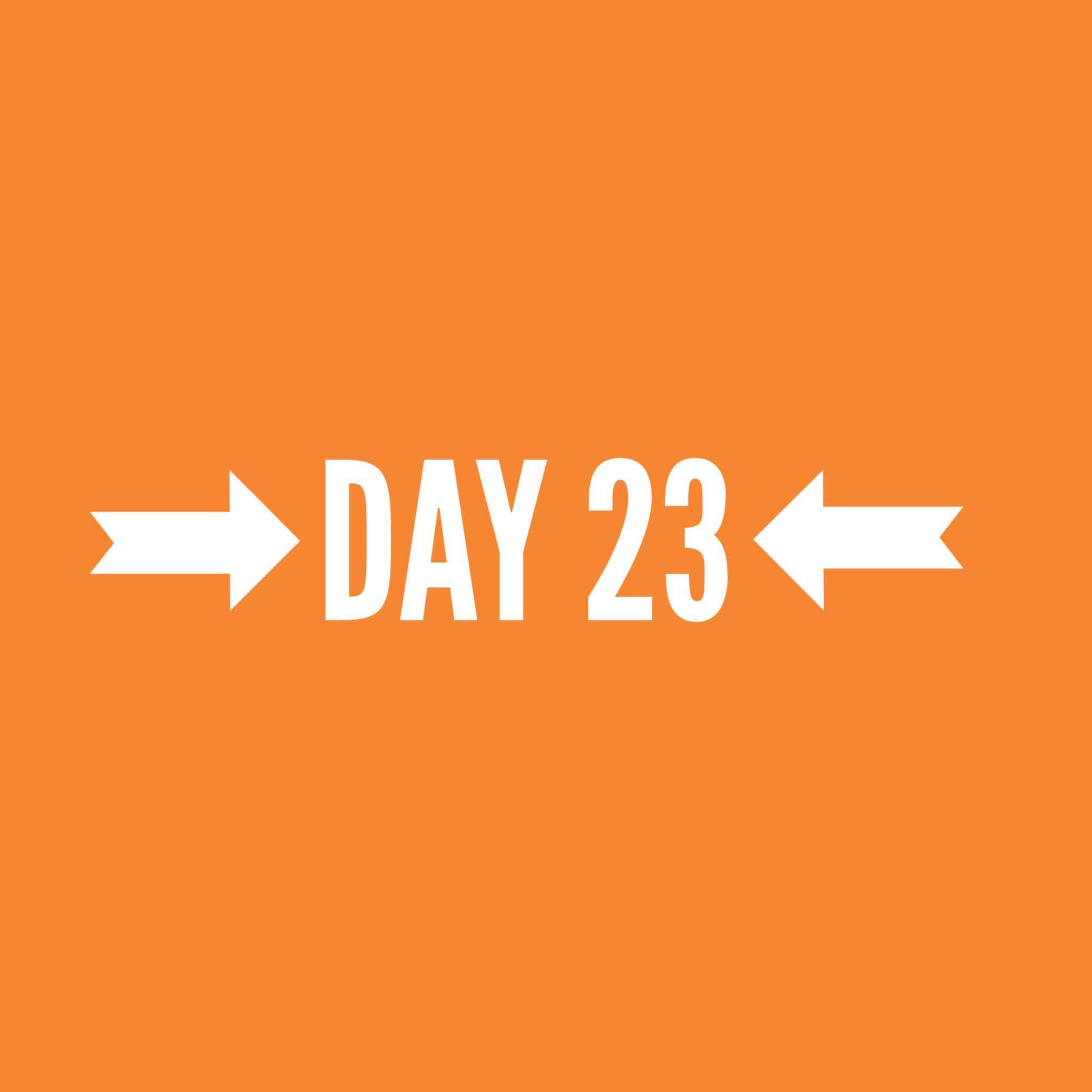 Gina's Facebook Live - Day 23- Morning episode artwork