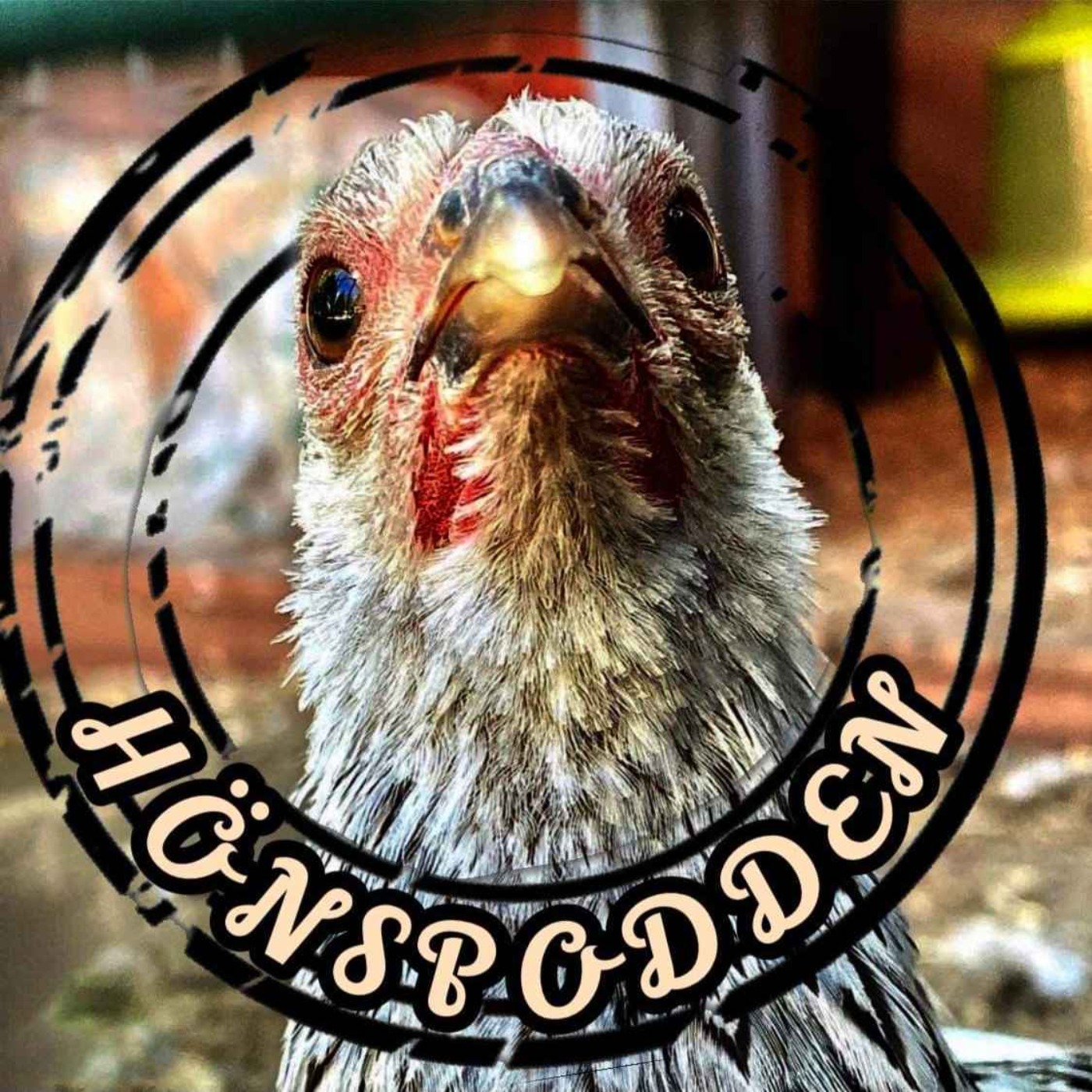 cover art for Kycklingar och dvärghöns