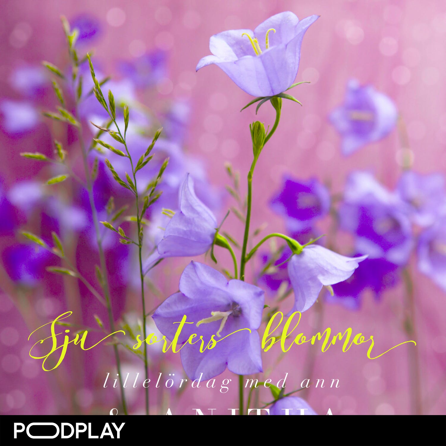 cover art for Sju sorters blommor