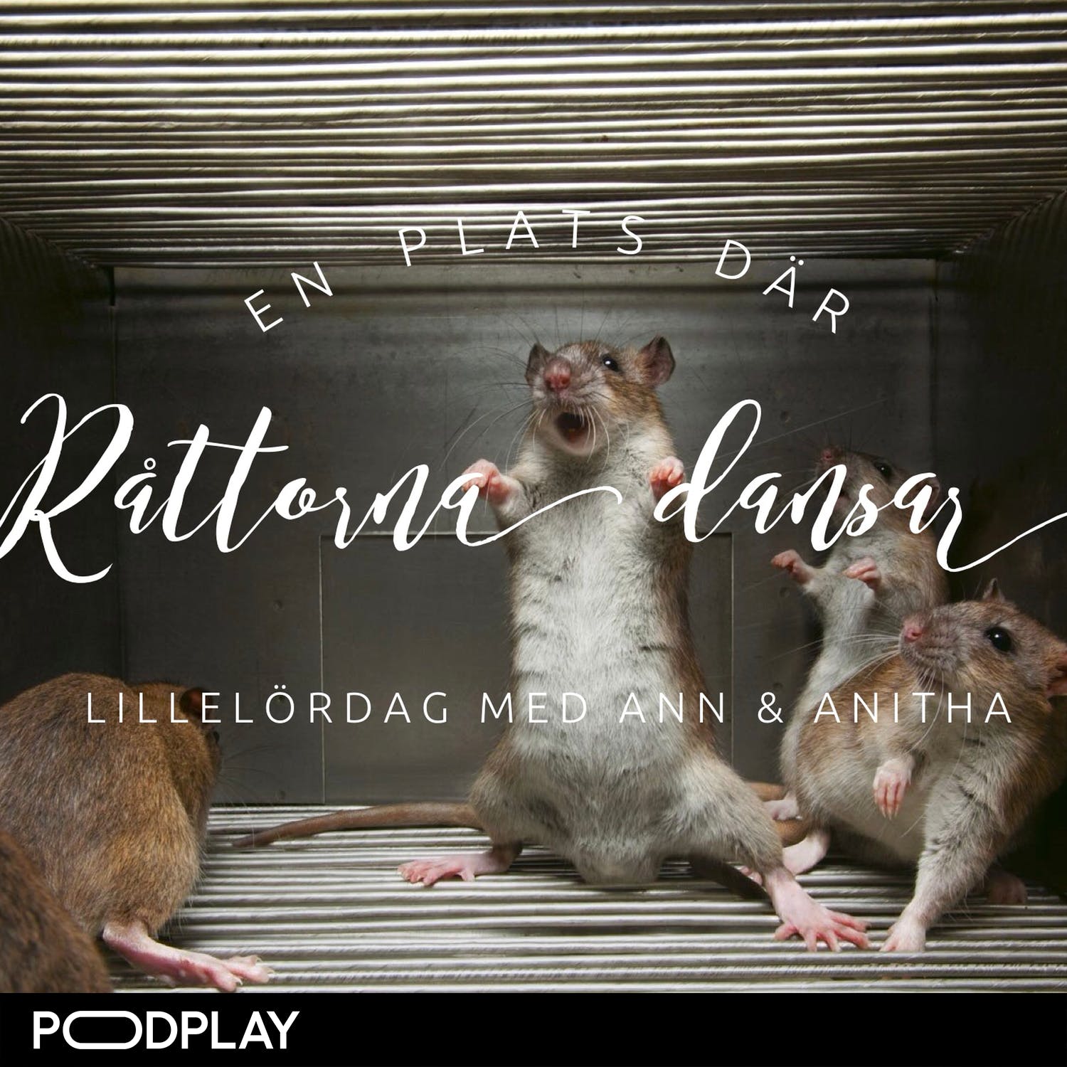 Lillelördag