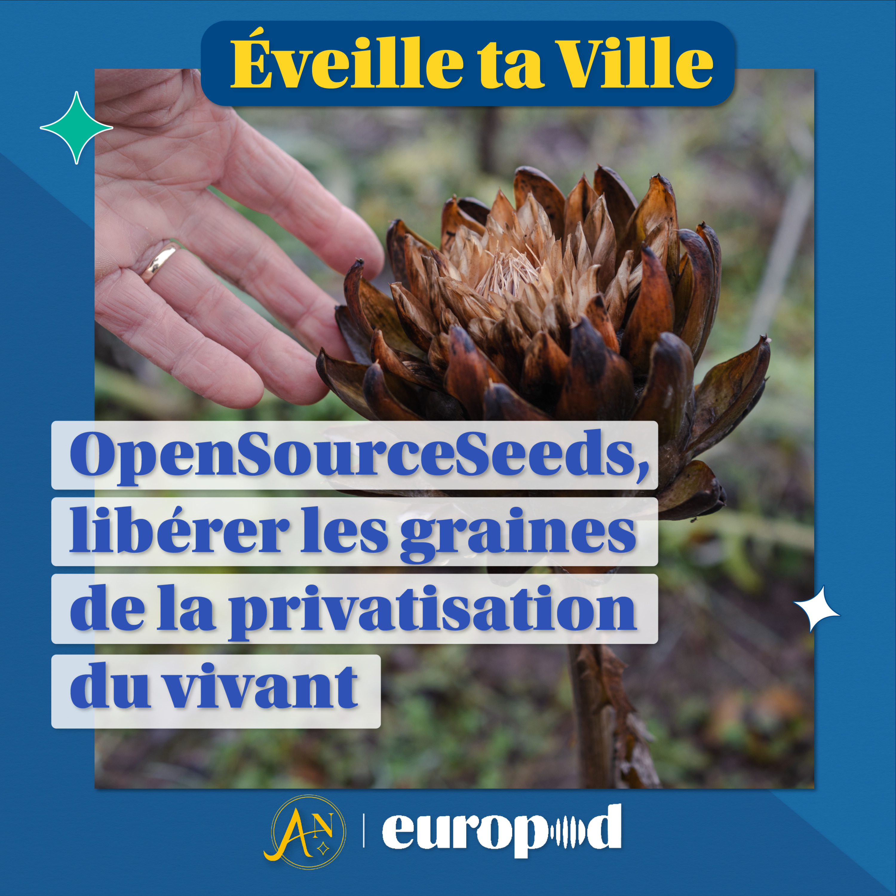 Éveille ta Ville