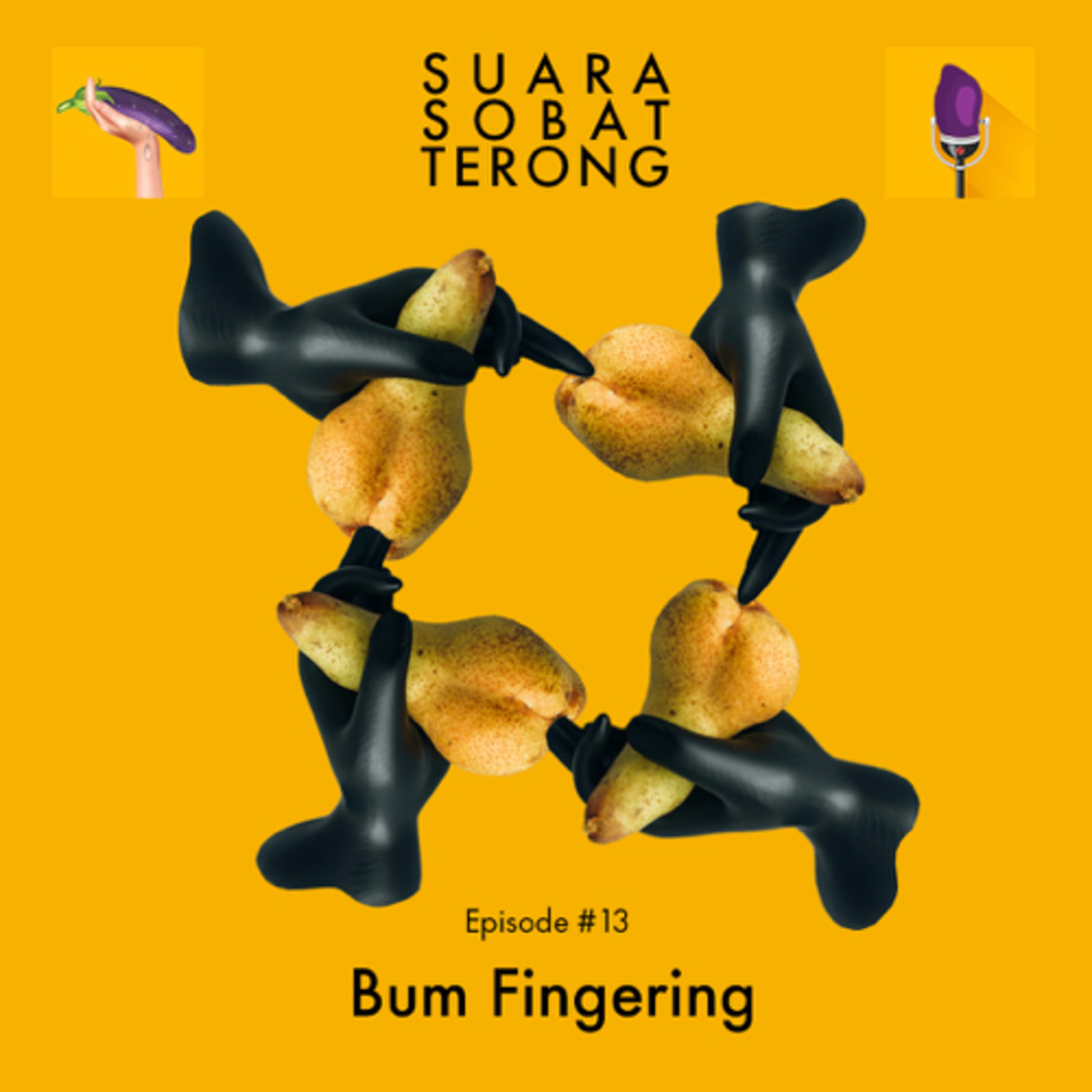 cover of episode #13 Suara Sobat Terong - Bum Fingering