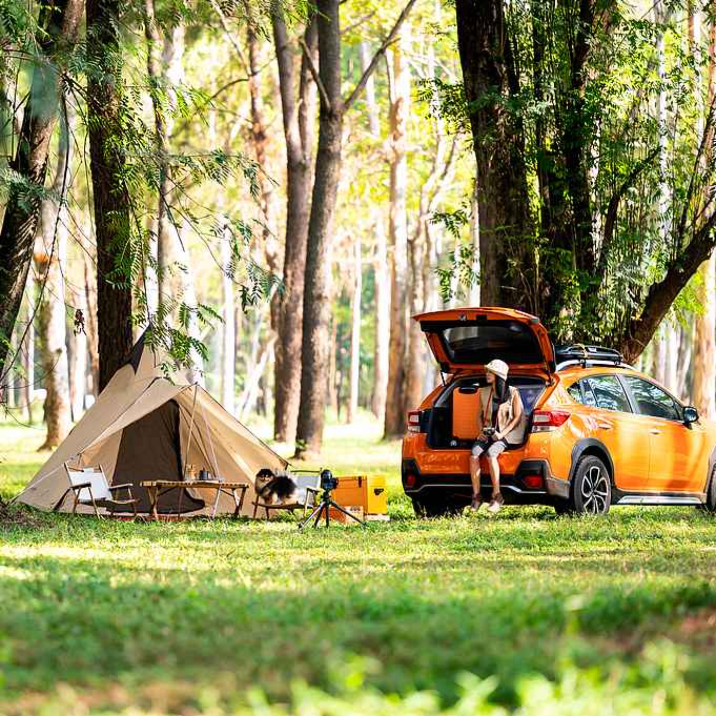 How tourism can save the US economy?