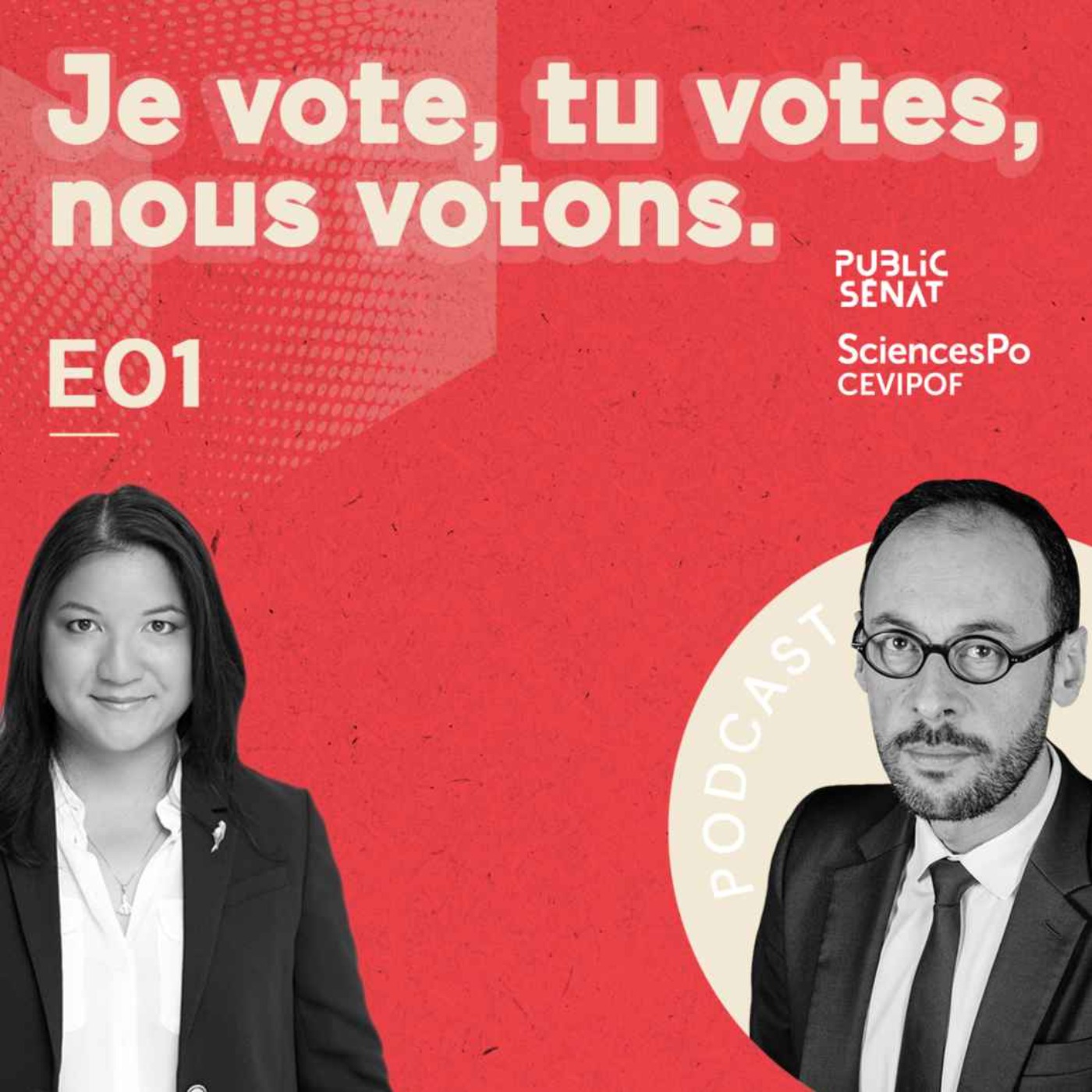 Je vote, tu votes, nous votons