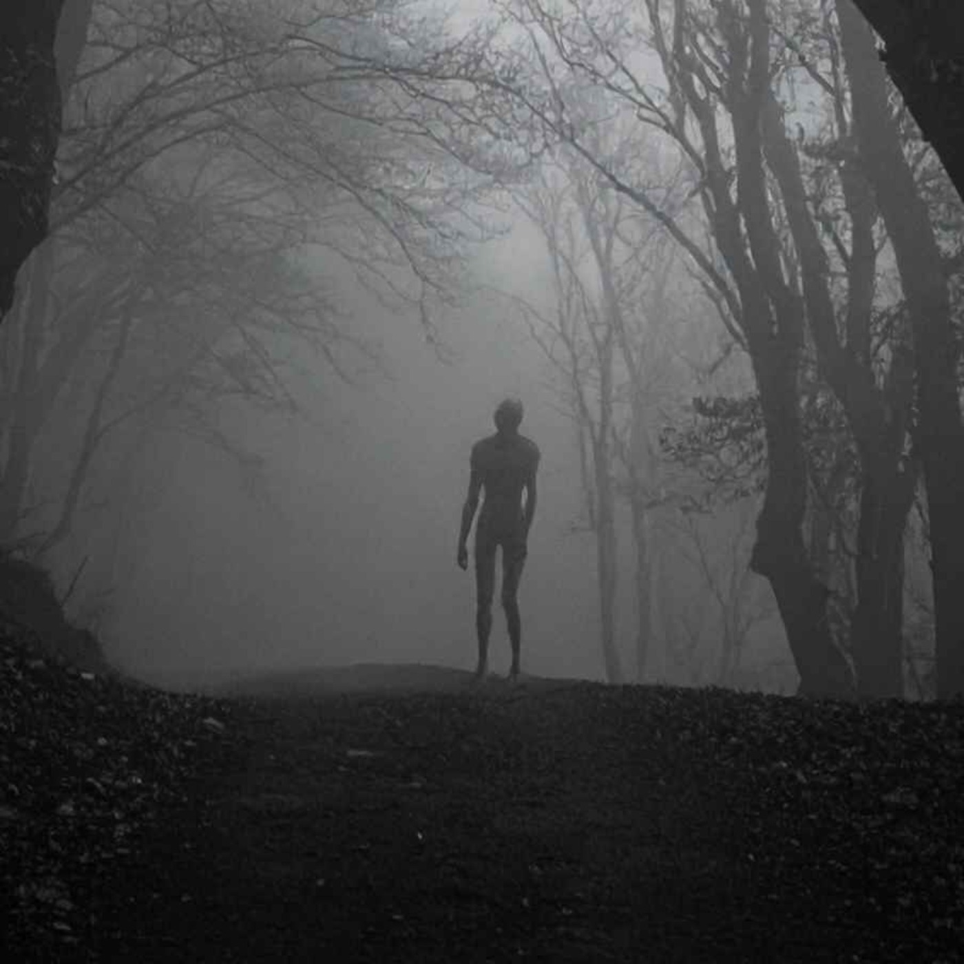 RELATOS OSCUROS DE LOS APALACHES