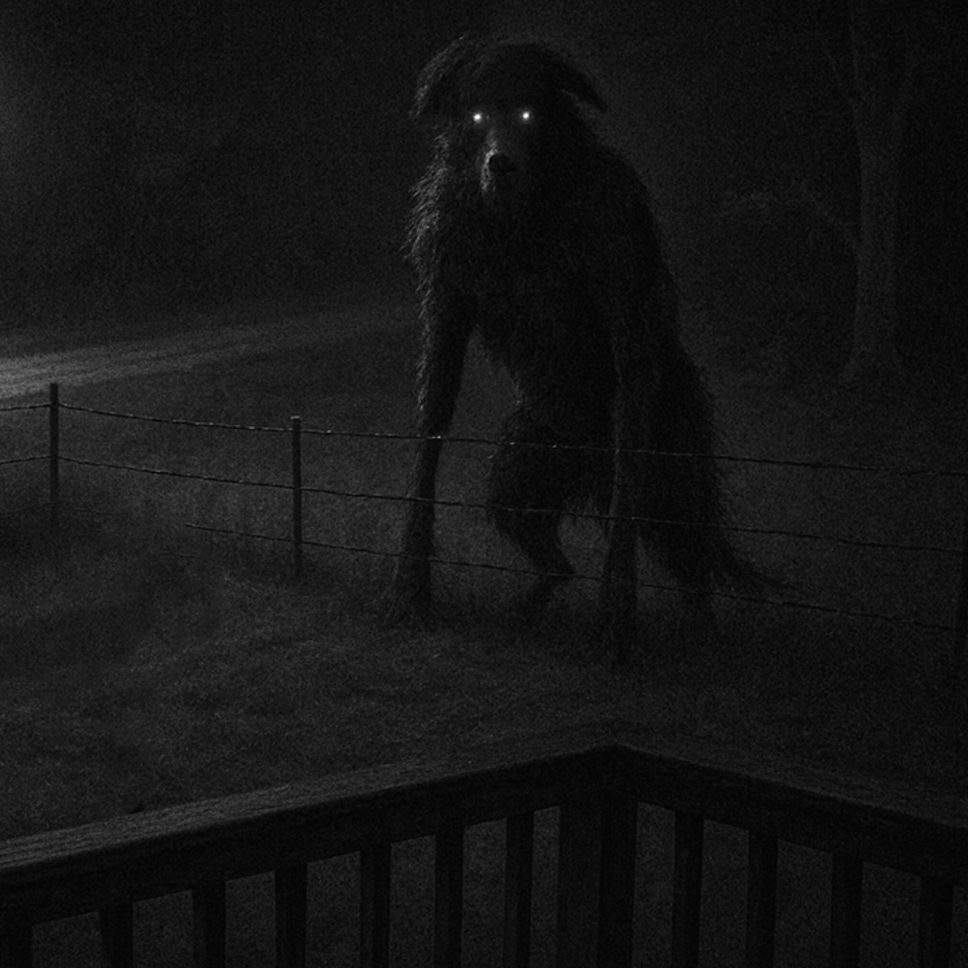 EXTRAÑOS SERES en Playas de Huatabampo | 4 Relatos Perturbadores de Sucriptores