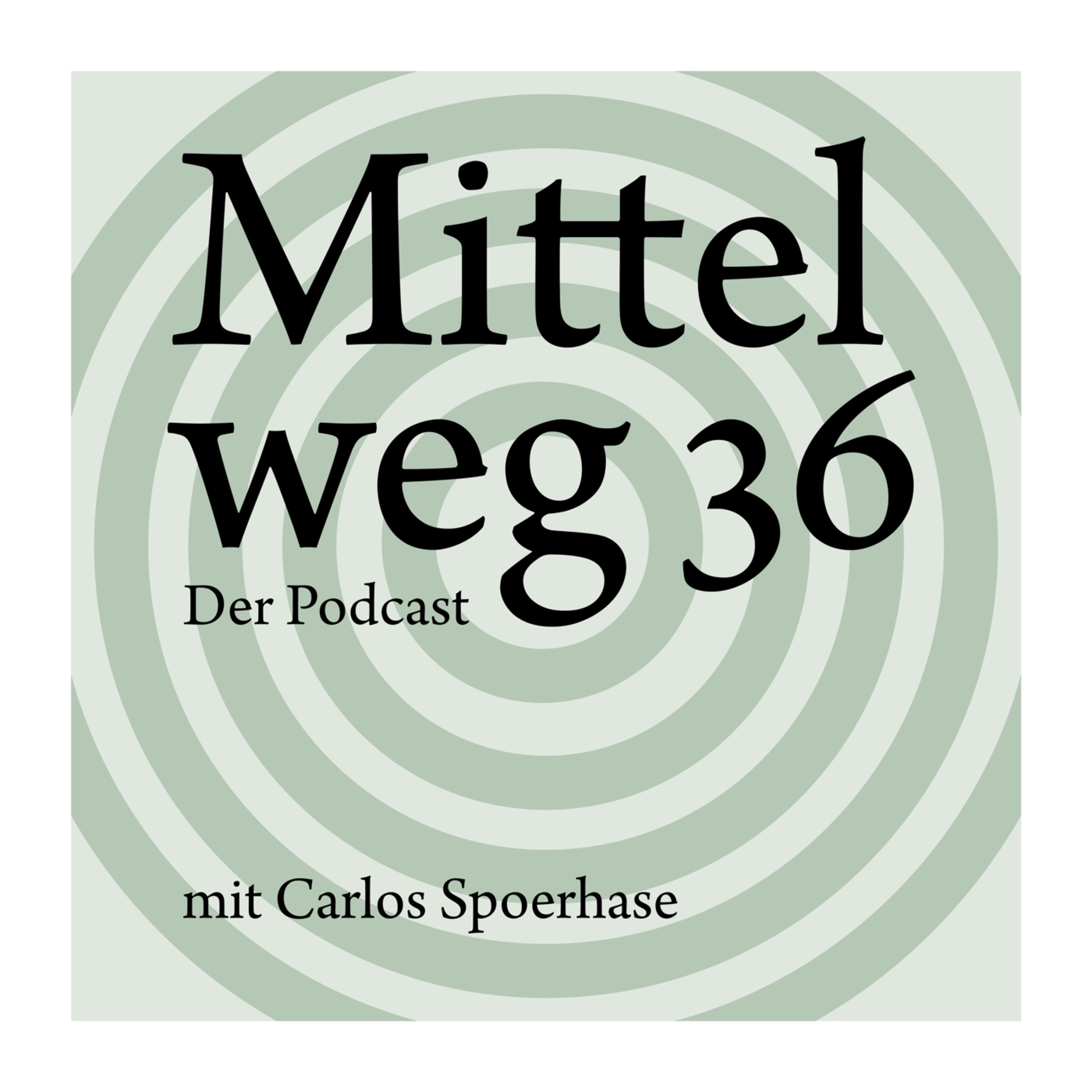 Mittelweg 36