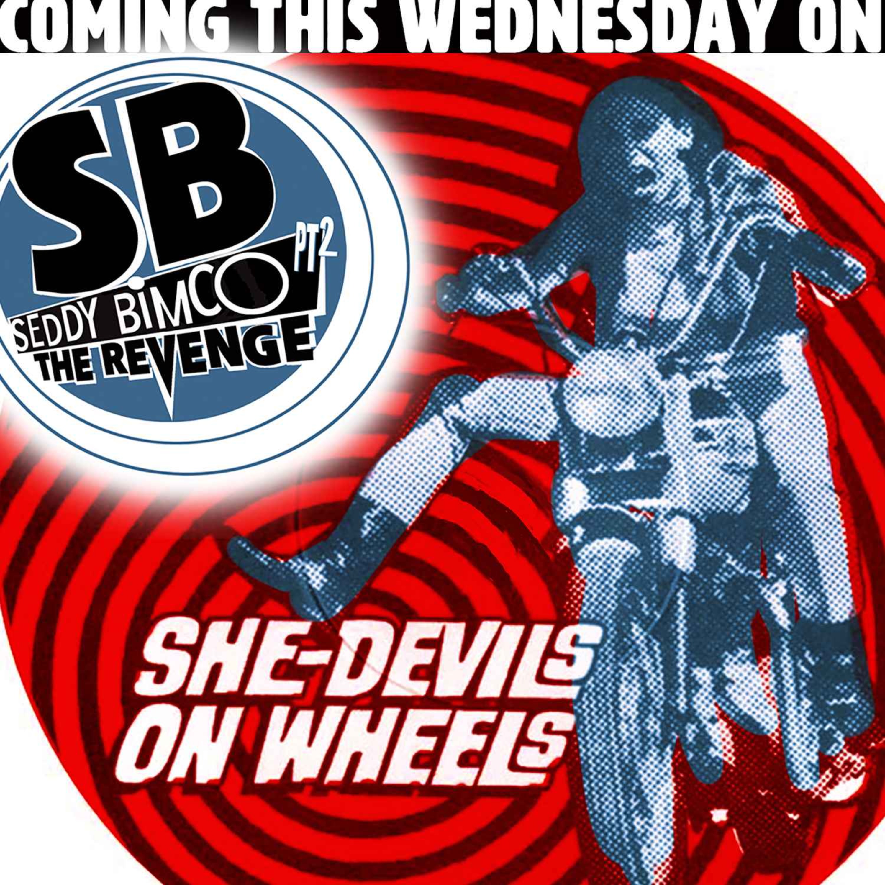 She-Devils On Wheels