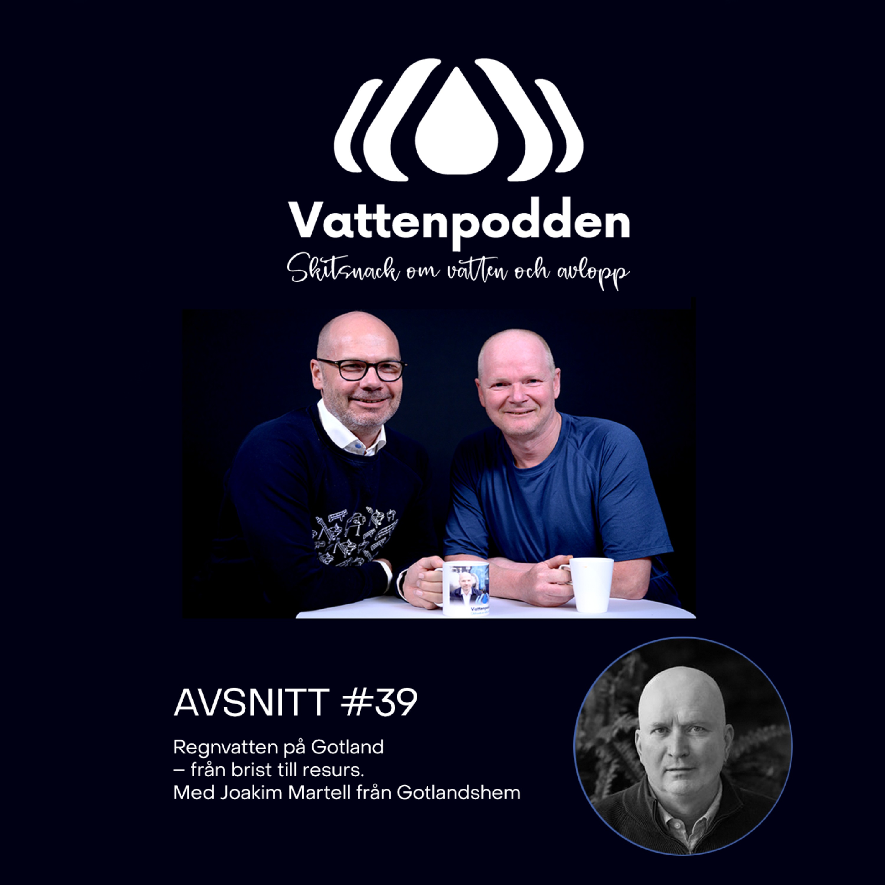 Avsnitt #39 Regnvatten på Gotland – från brist till resurs episode artwork