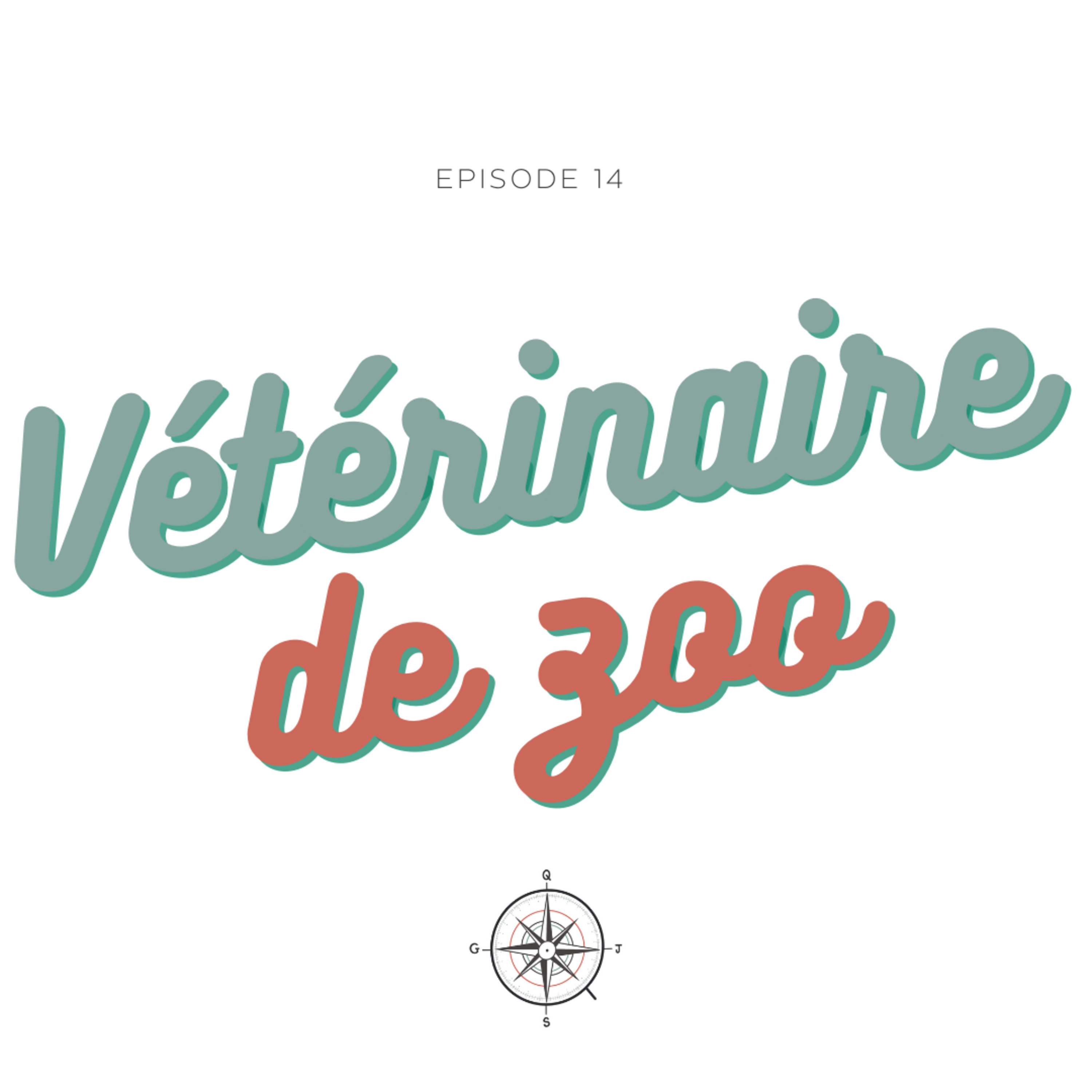#14 - Vétérinaire de zoo : Cyril et Allan