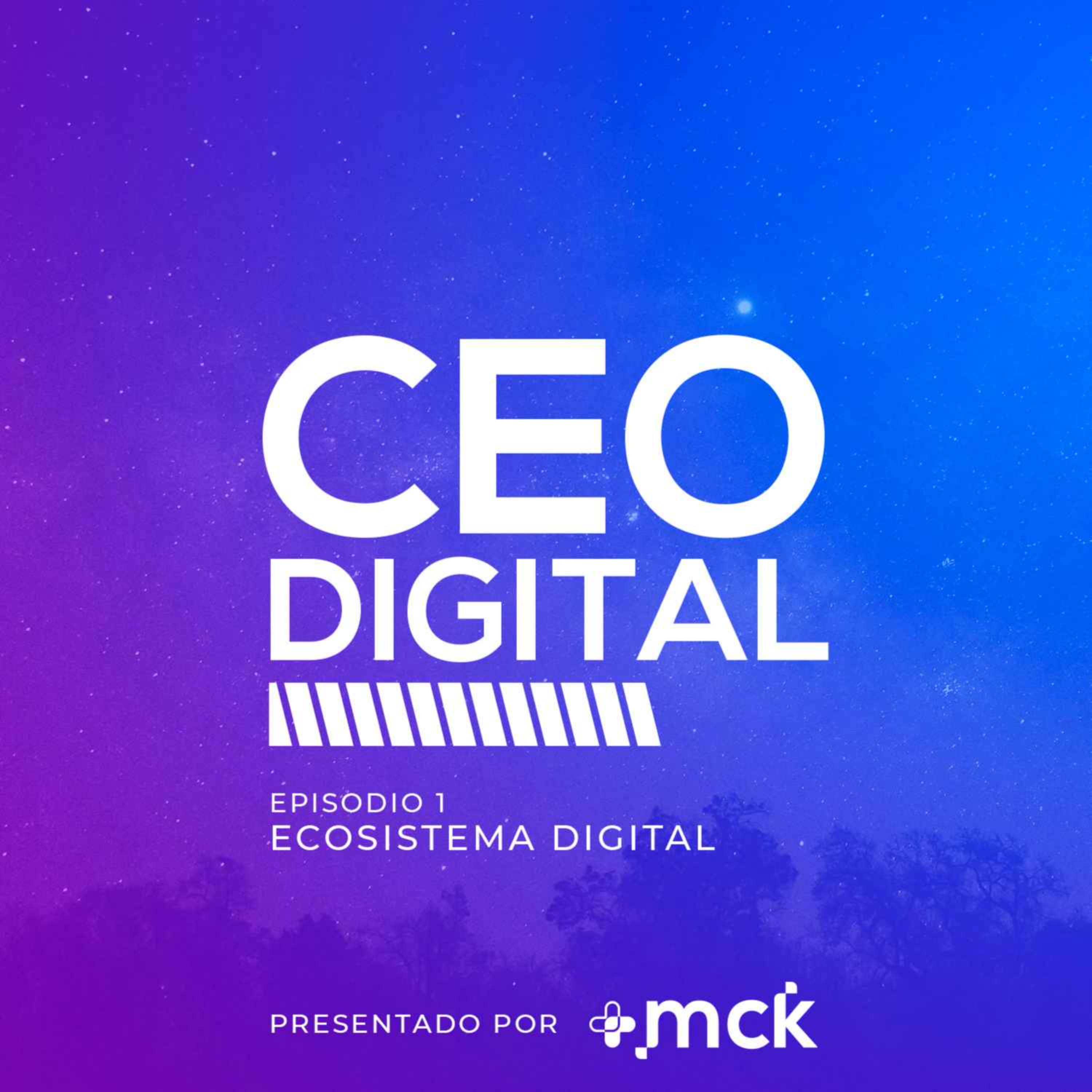 CEO Digital