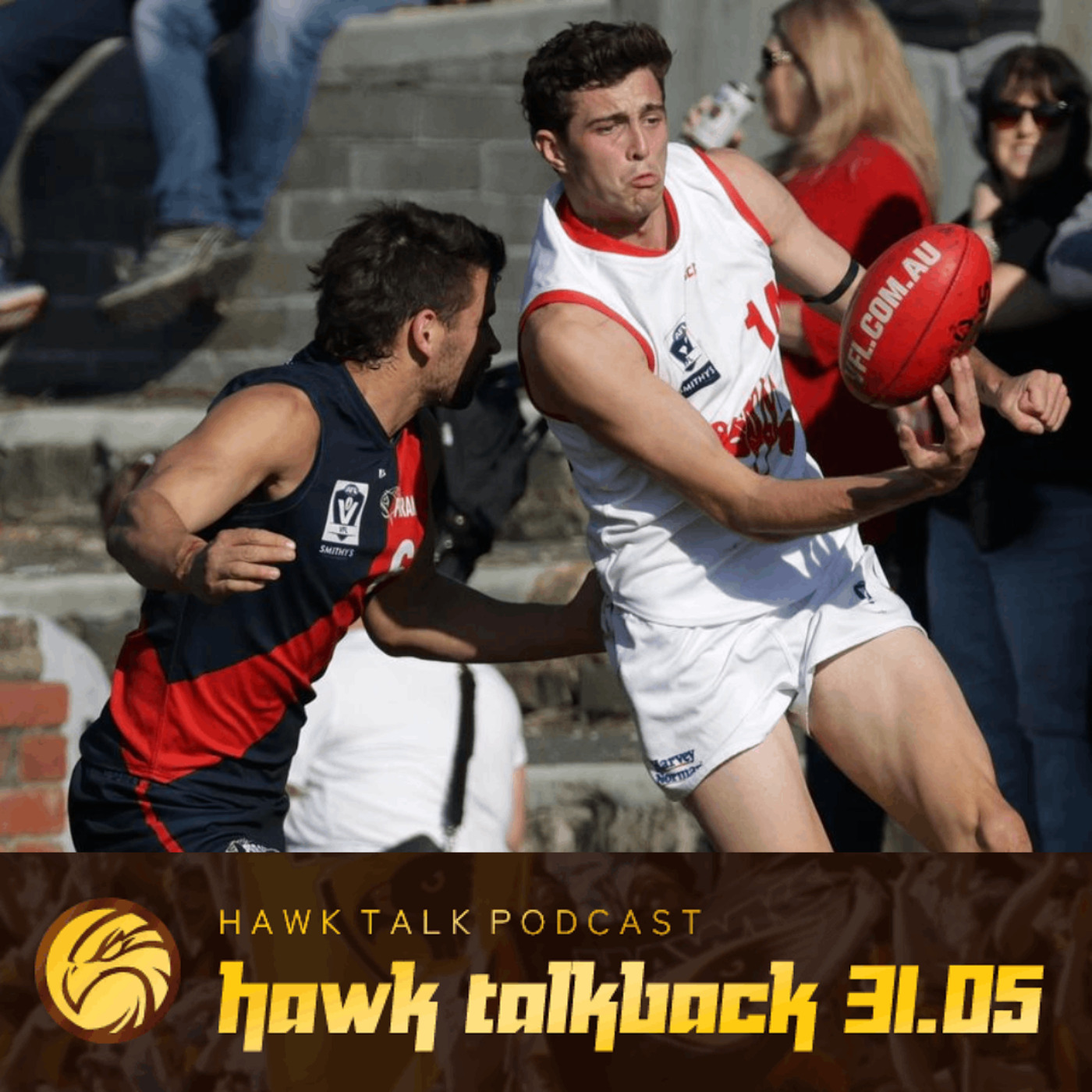Hawk Talkback 31.05