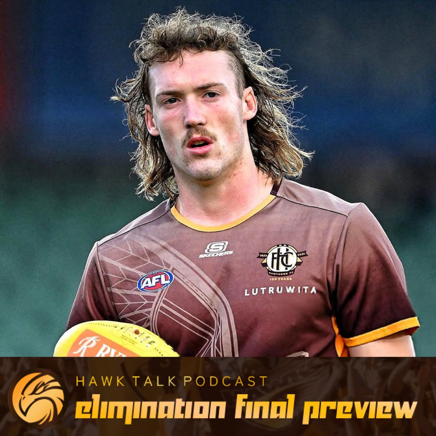 Elimination Final Preview (2025)