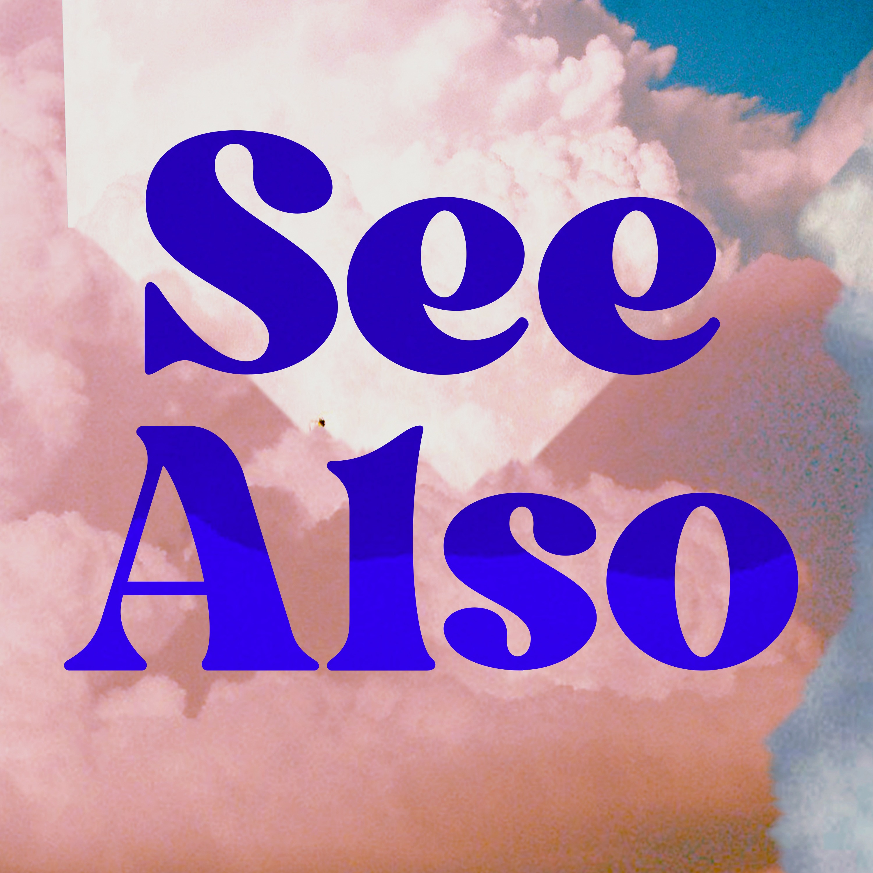 See Also
