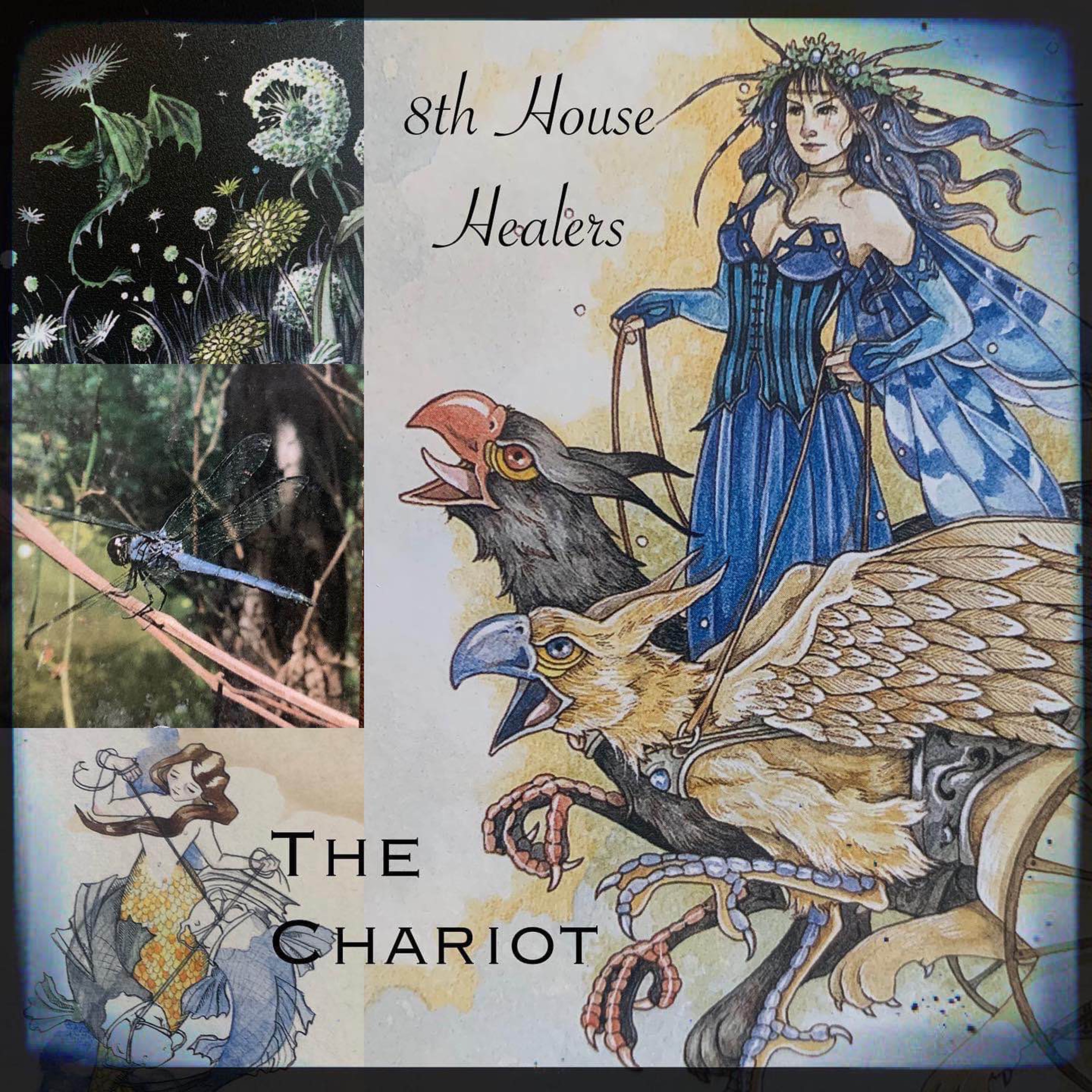 8th House Healers