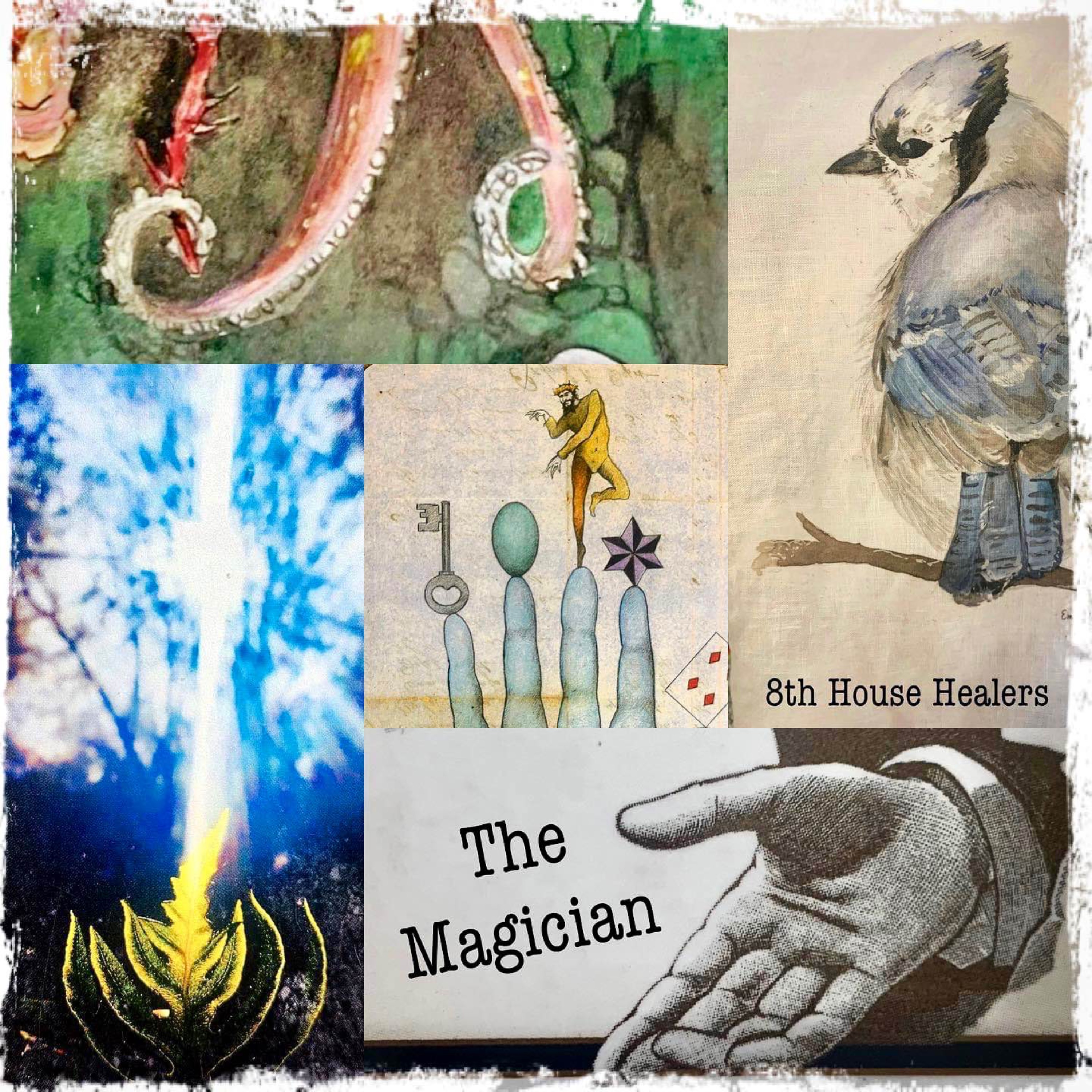 8th House Healers