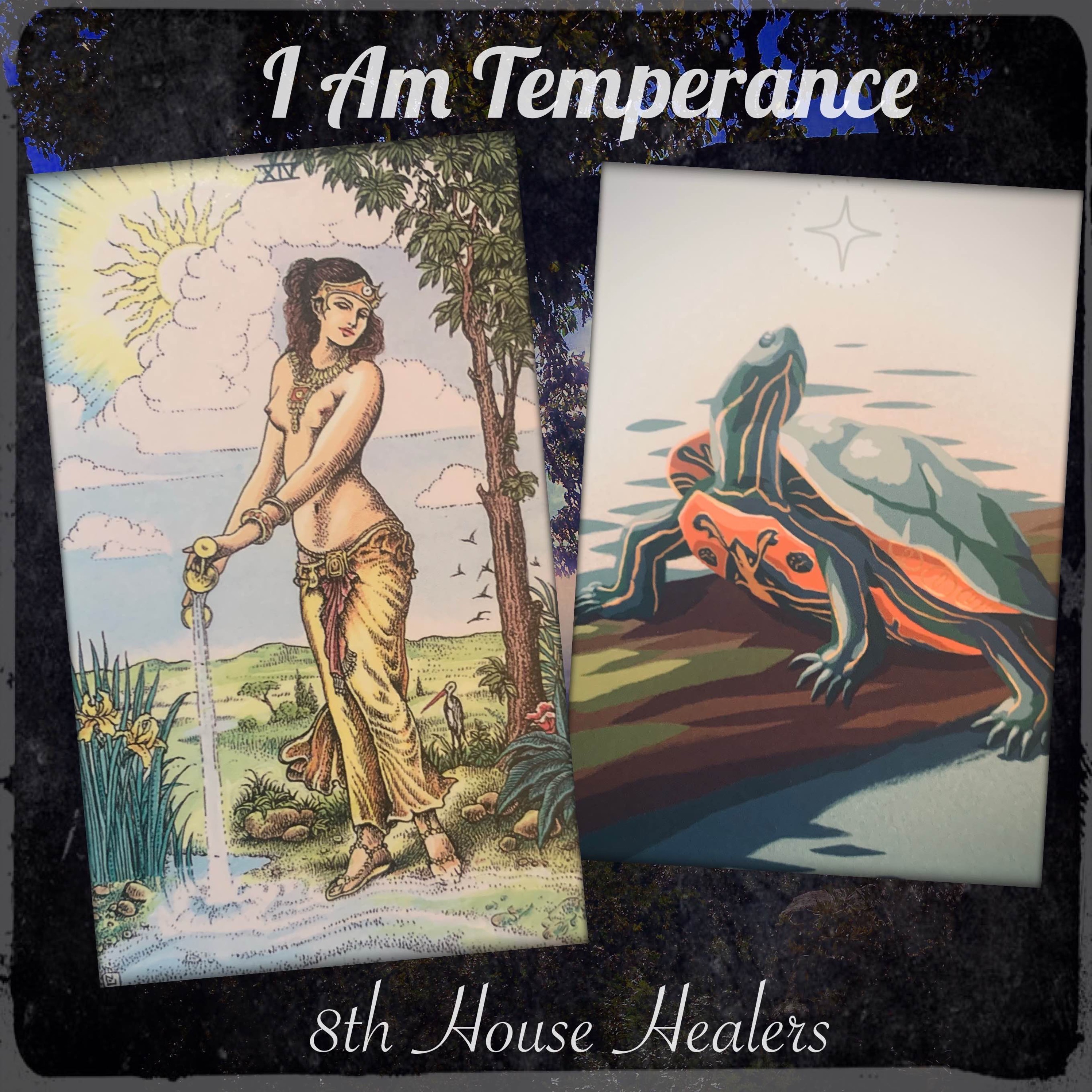 8th House Healers