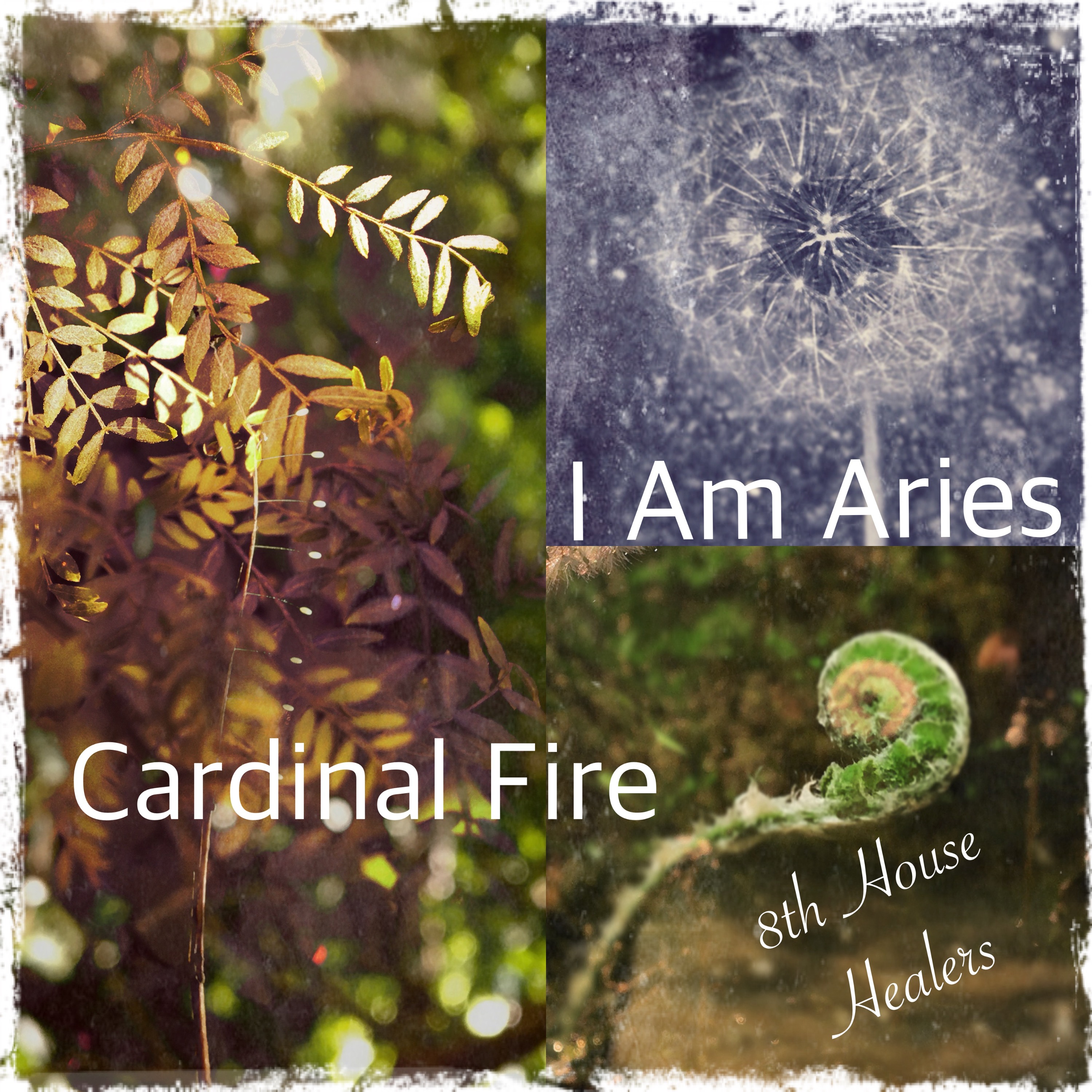 8th House Healers