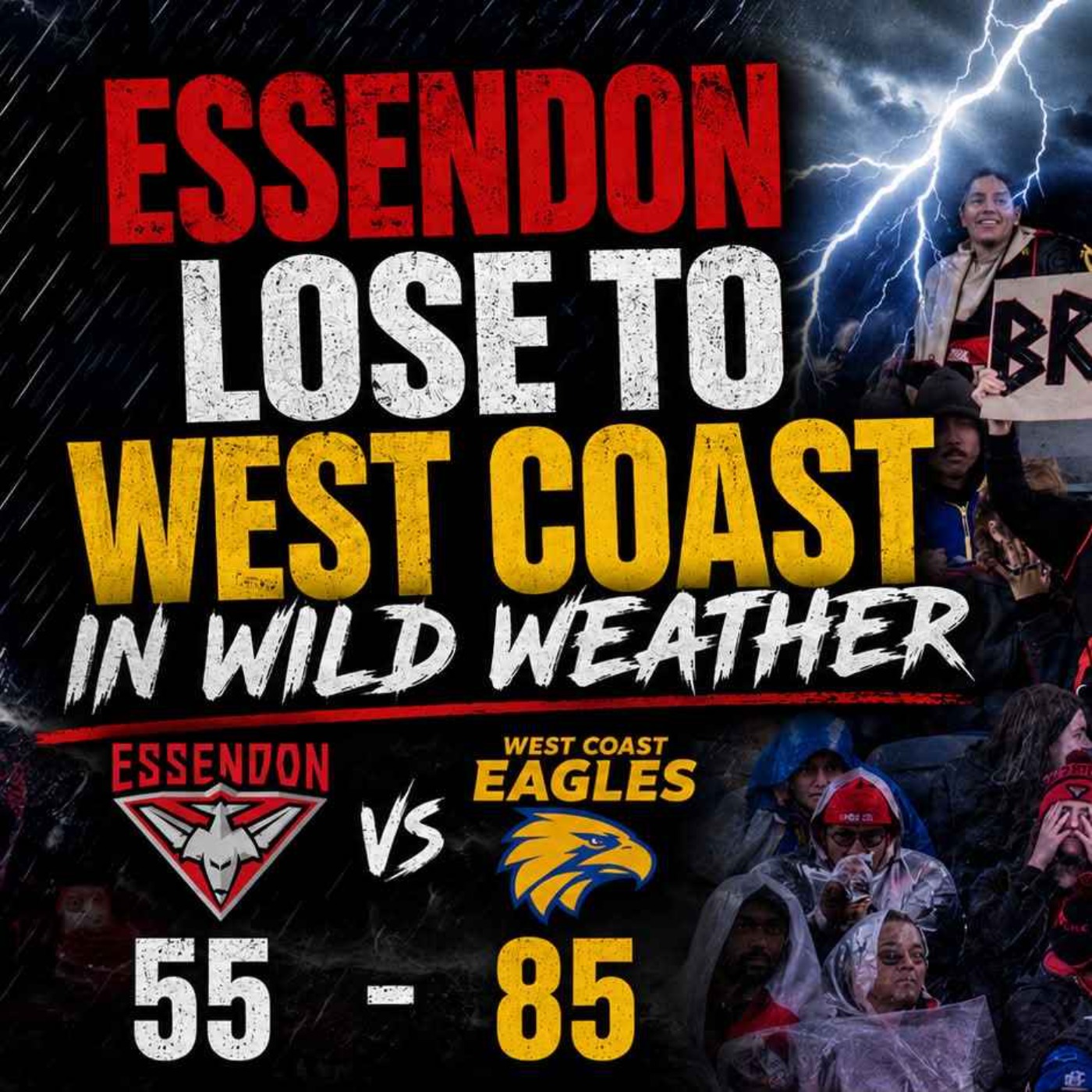 SAME OLD DONS | Essendon vs. West Coast review - Round 12 2026 episode artwork