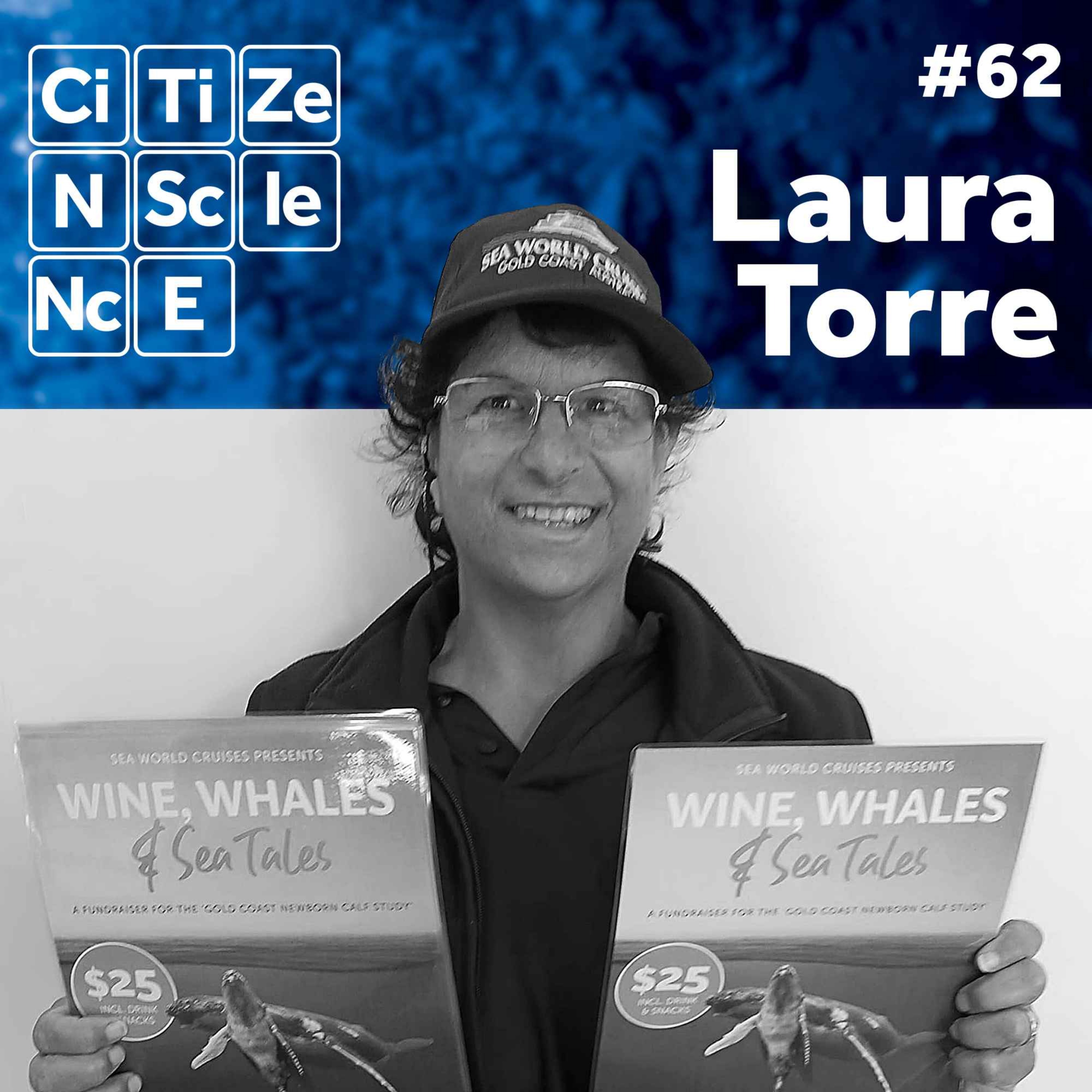#062 - Laura Torre | Gold Coast Newborn Calf Study | Whale Research | Drone Research episode artwork